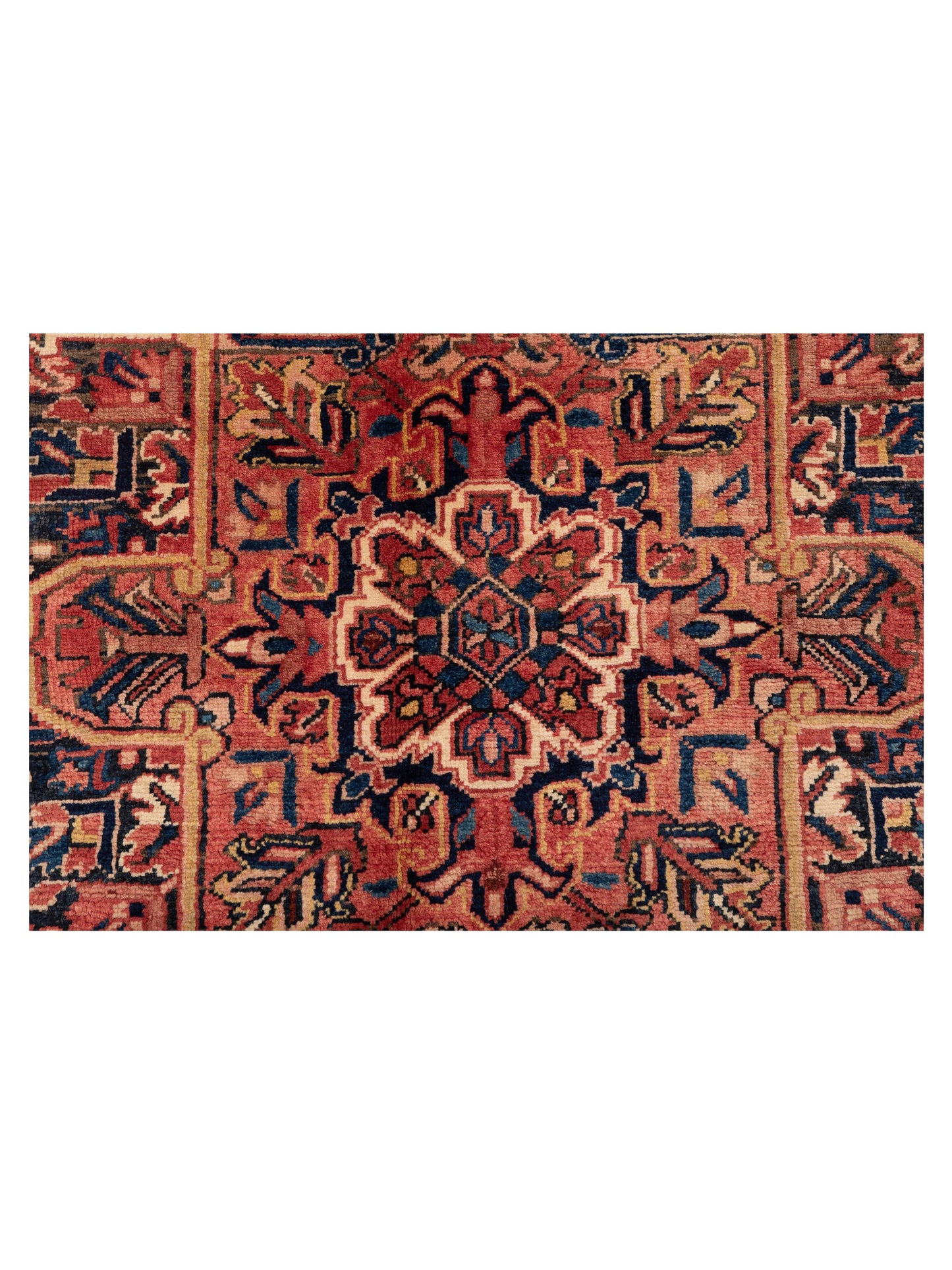 Antiqua Heirloom Red Navy 8.7x11.7 Hand Knotted Rug