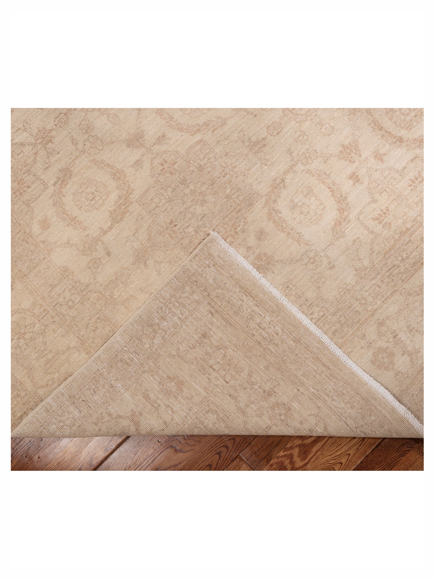 Lailora Ivory Ivory 8.3x11.4 Hand Knotted Rug