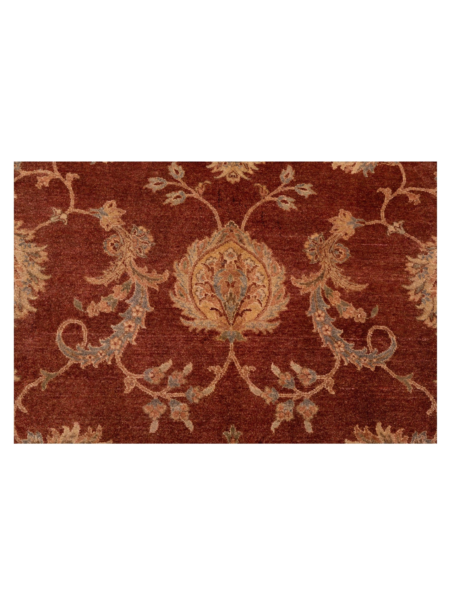 Zardun Rust Ivory 8.11x11.11 Hand Knotted Rug