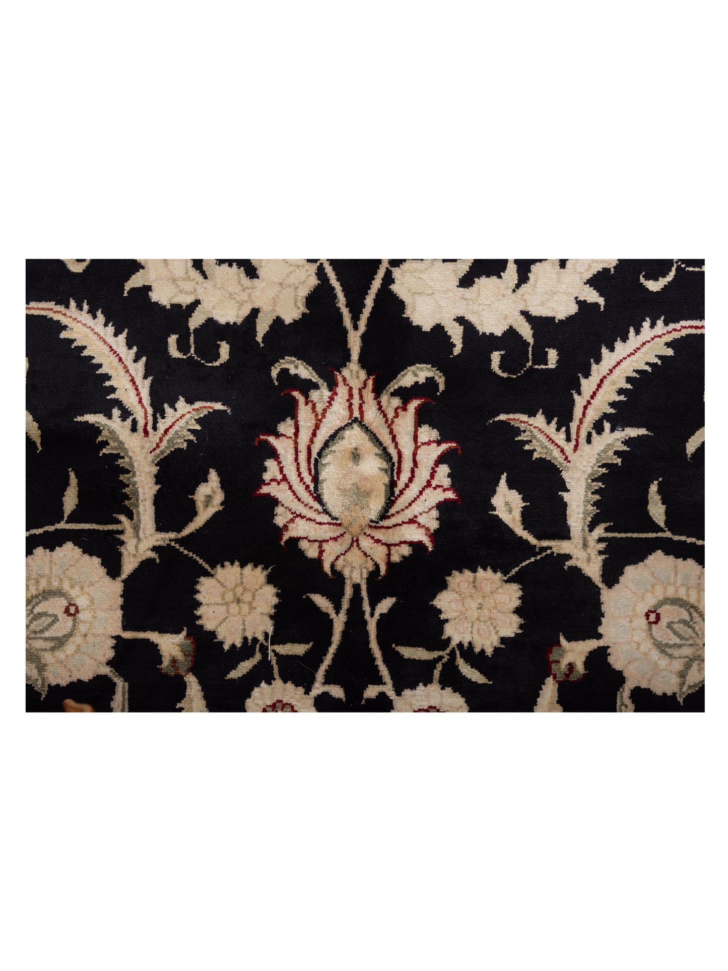 Pure Silk Black Ivory 9.1x12 Hand Knotted Rug