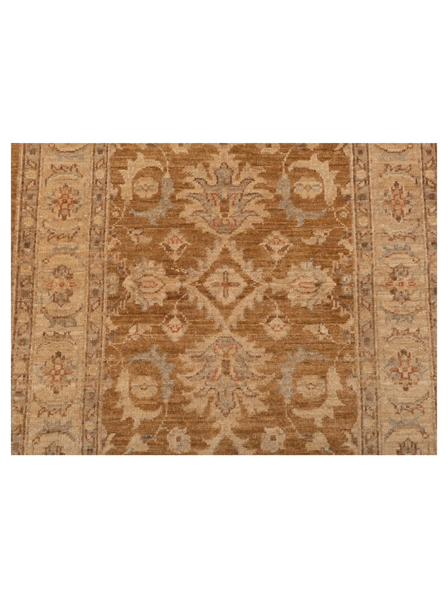 Sabira Brown Gold 2.9x9.10 Hand Knotted Rug