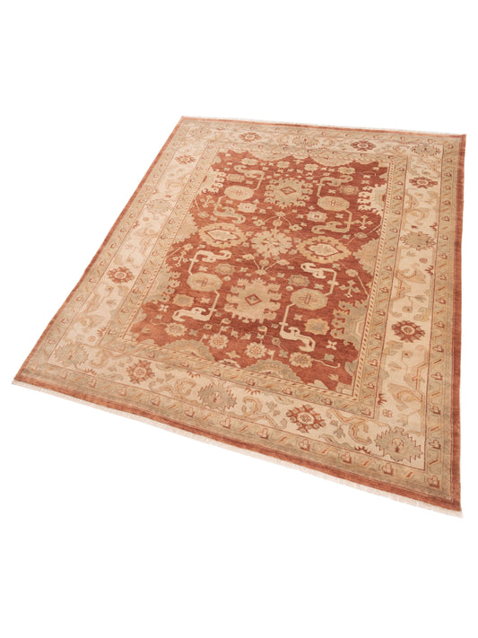 Oushara Rust Ivory 9x11.9 Hand Knotted Rug