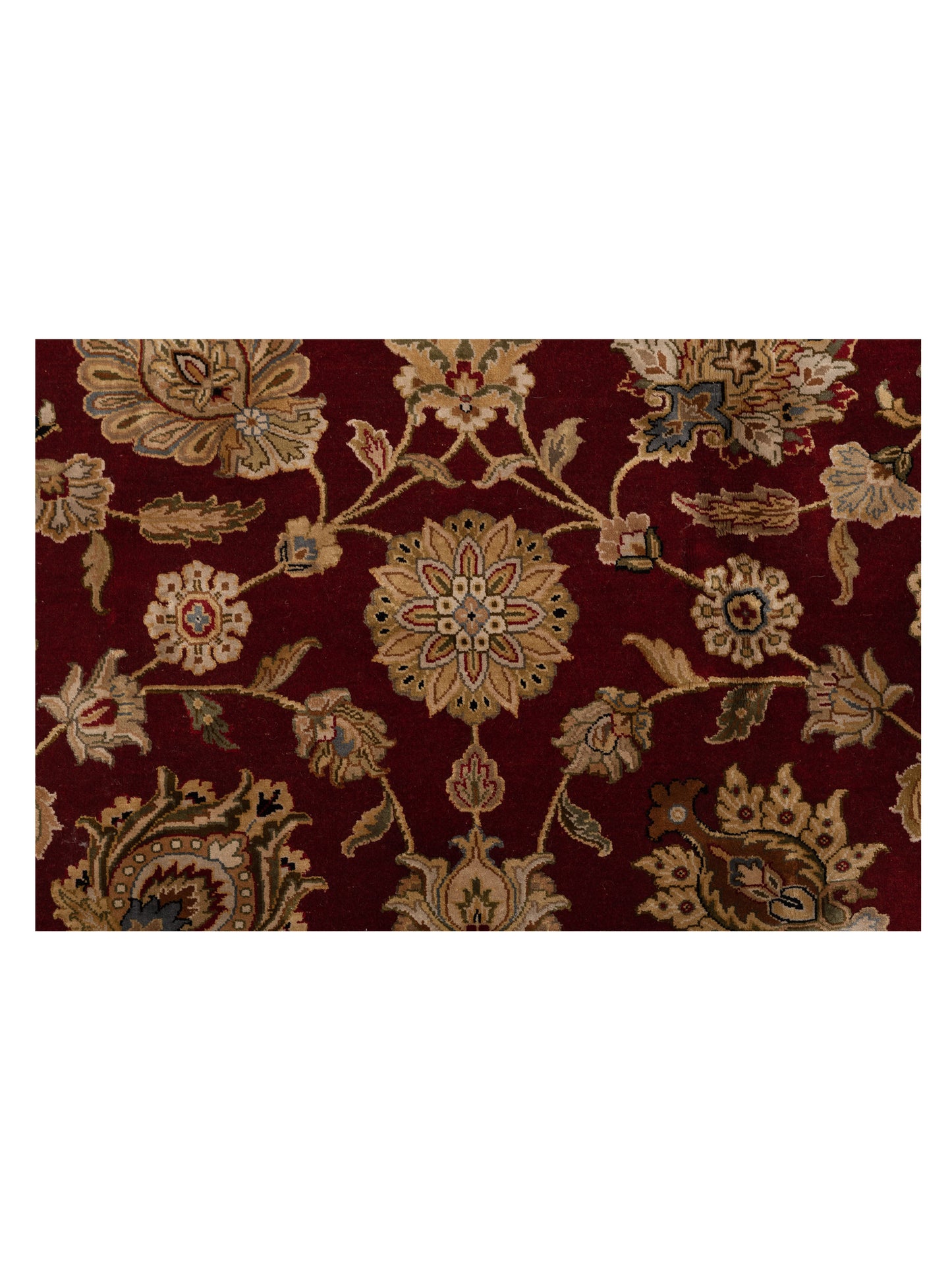 Javira Silk Red Ivory 6x8.10 Hand Knotted Rug