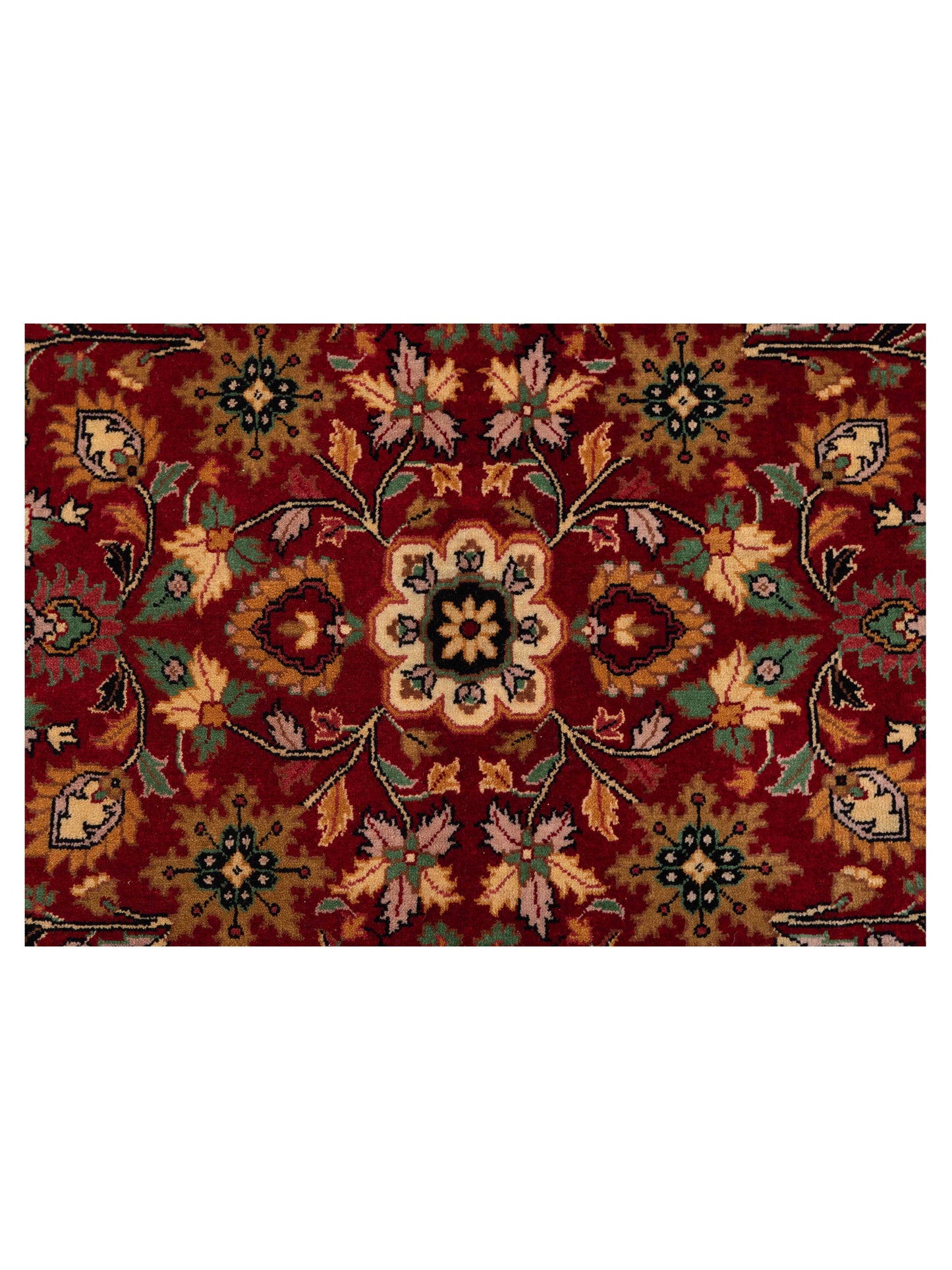 Sansira Red Ivory 9.1x12.4 Hand Knotted Rug