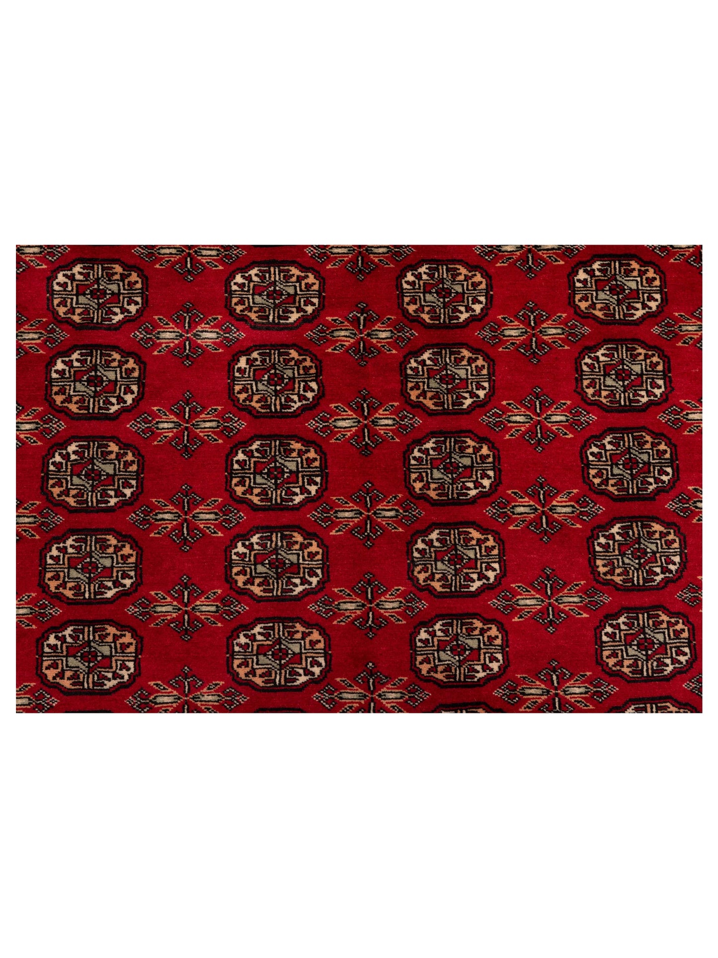 Bokhara Red Red 5.1x8.4 Hand Knotted Rug