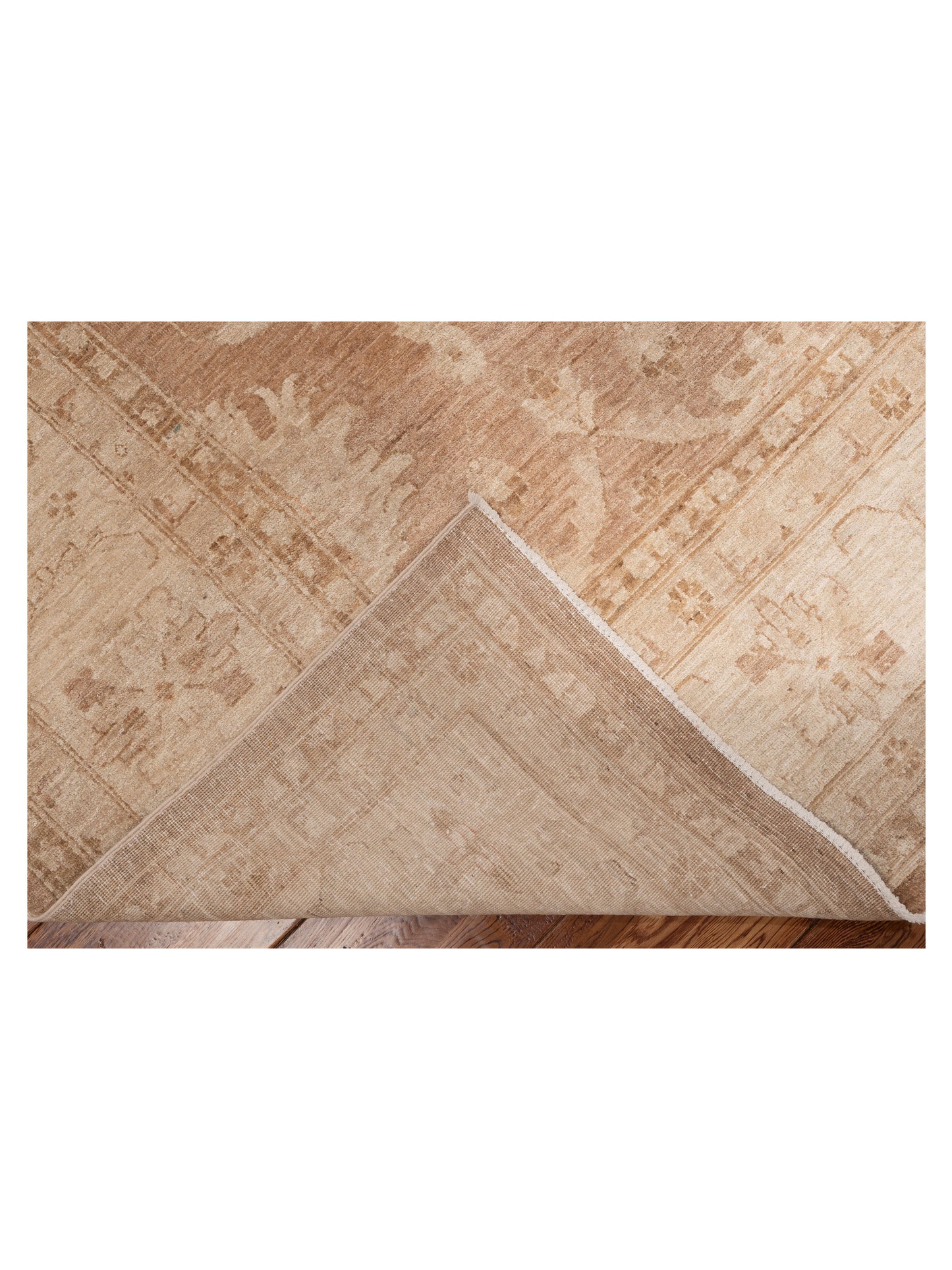 Sabira Brown Ivory 8.11x11.7 Hand Knotted Rug