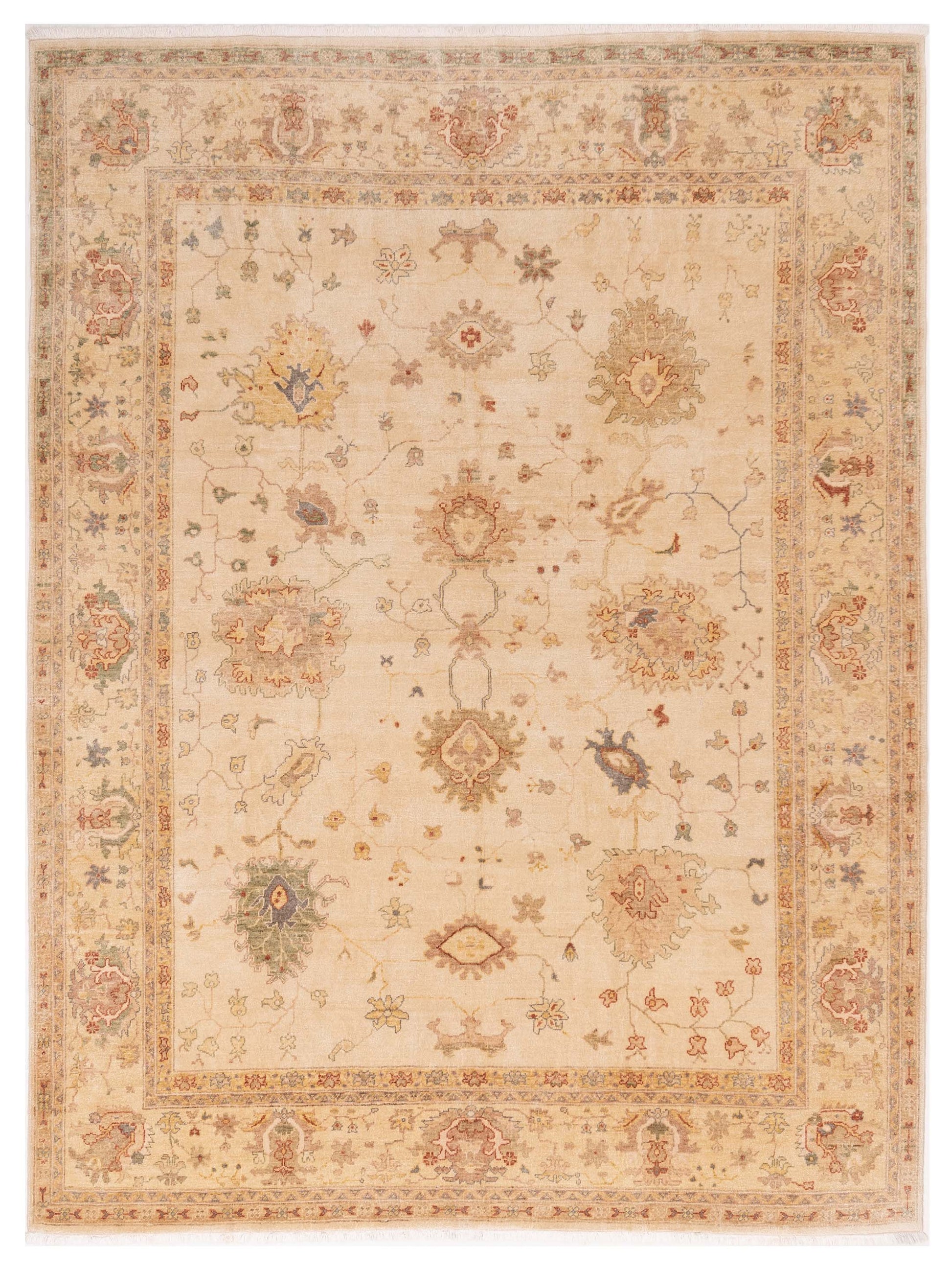 Pasha Elvan  Ivory Gold Traditional