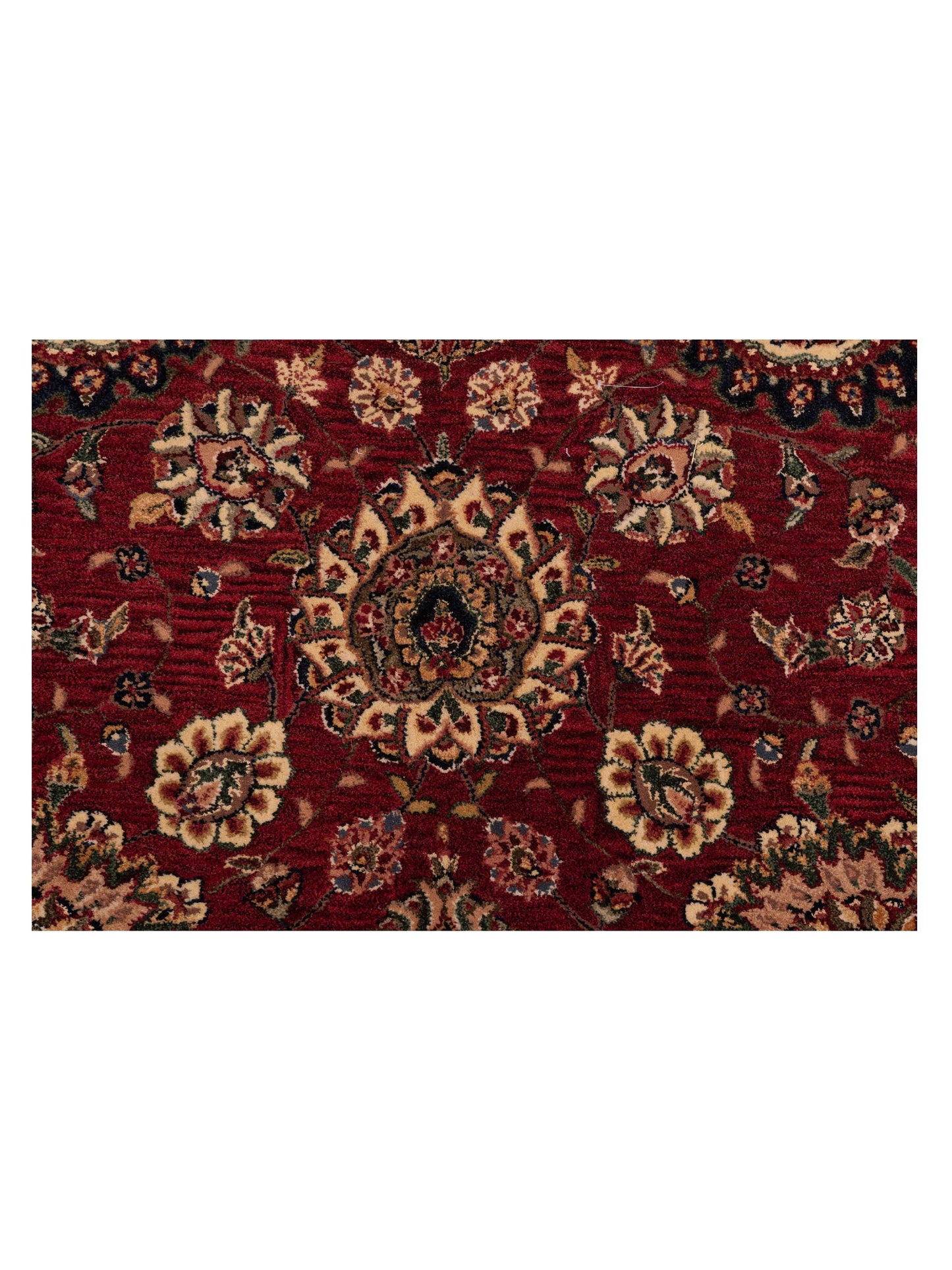 Tuforia Burgundy Ivory 6x9 Hand Tufted Rug