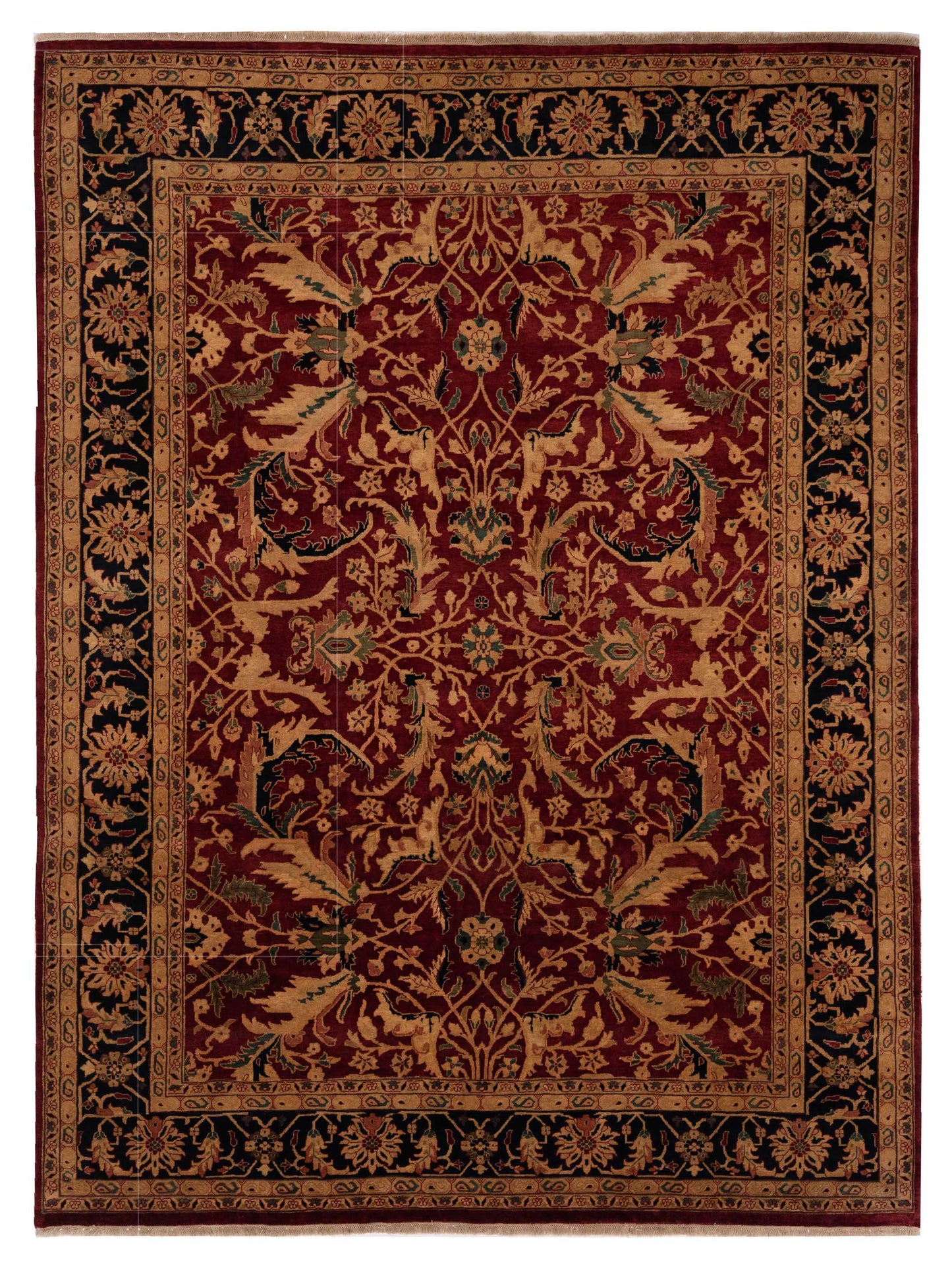 Rajpur Crown  Red Black Transitional