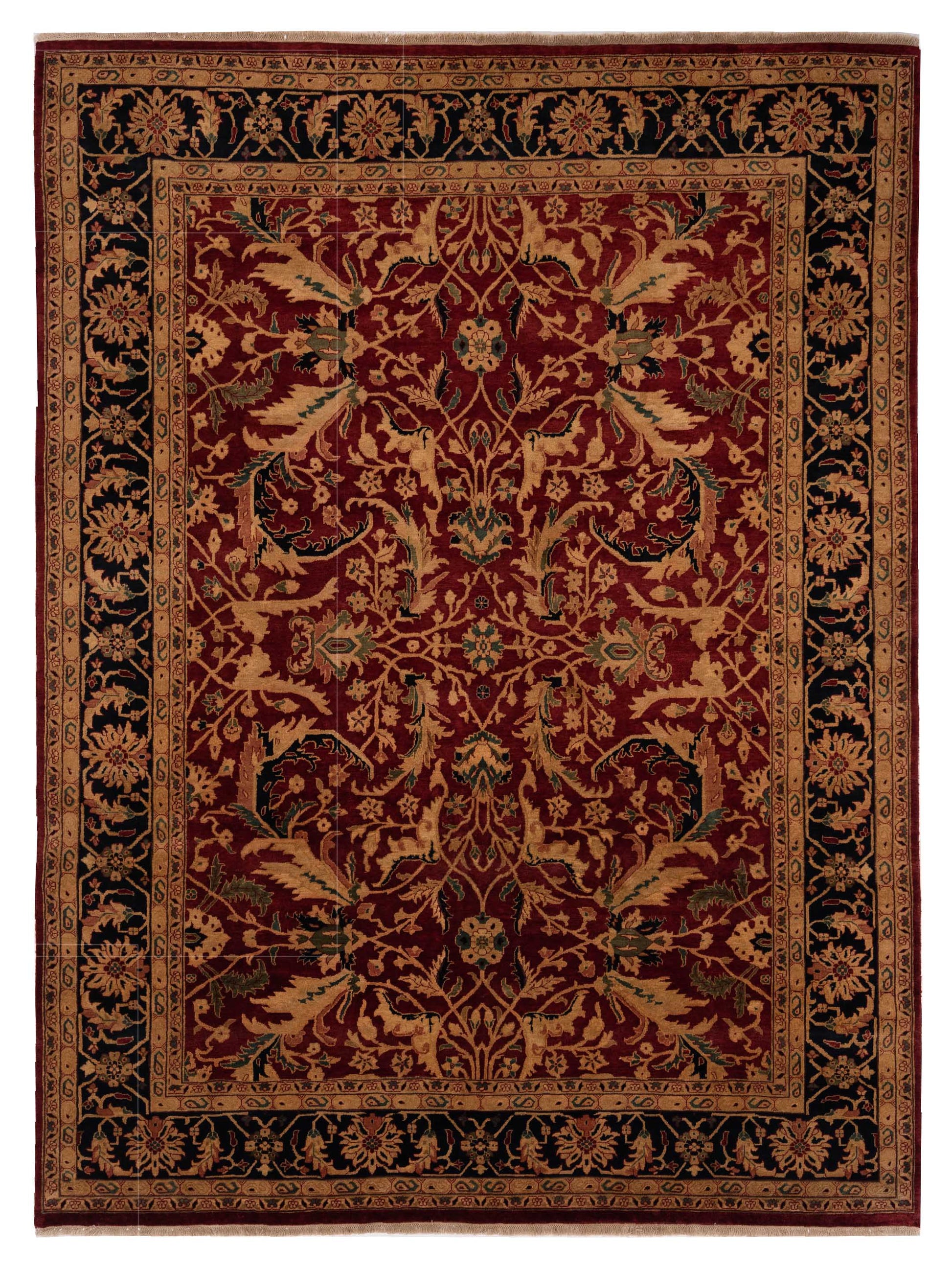 Rajpur Crown  Red Black Transitional