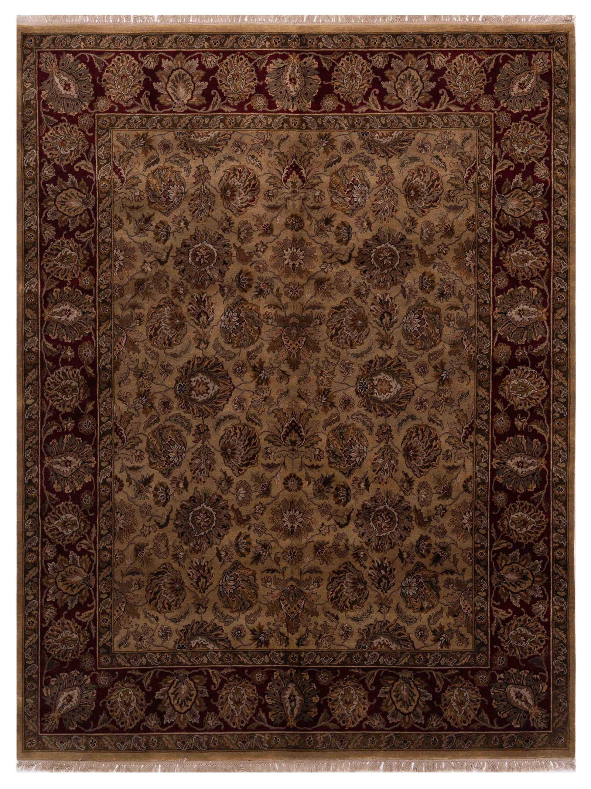 Rajpur Crown  Light Brown Red Transitional