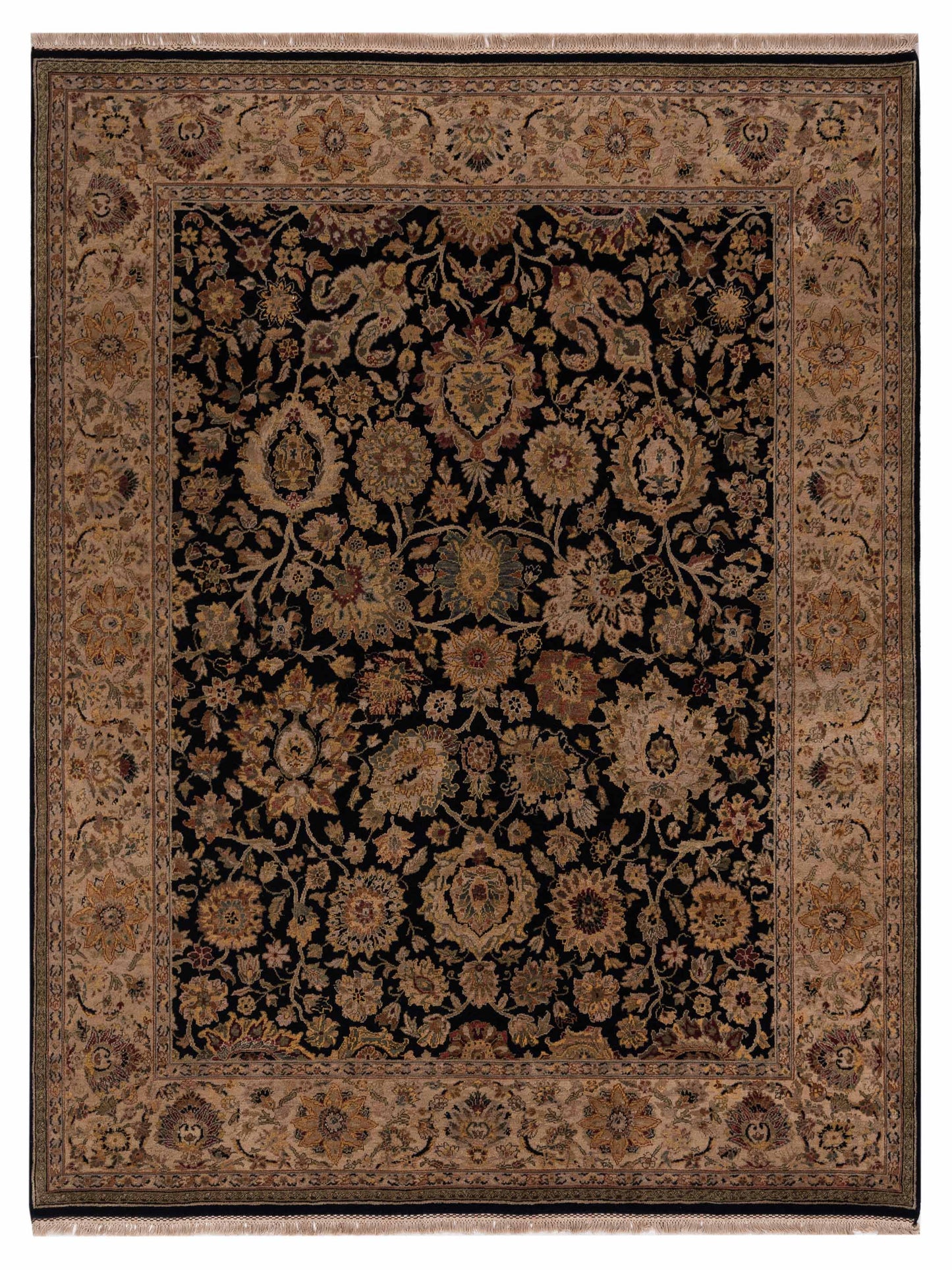 Rajpur Crown  Black Ivory Transitional