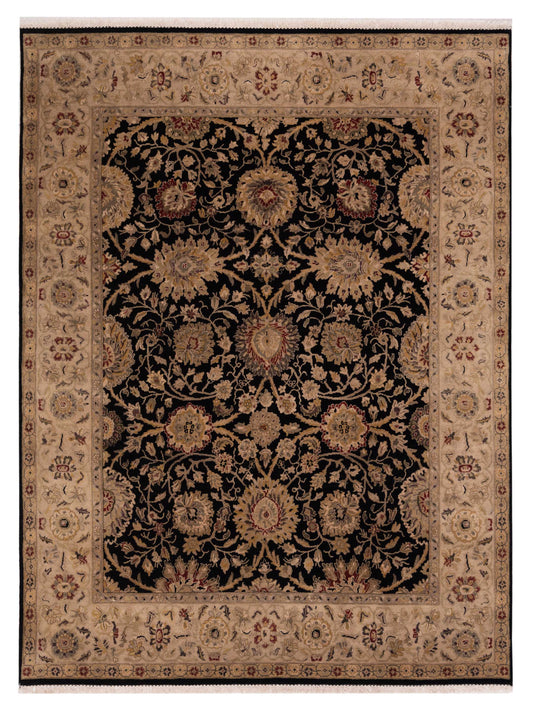 Rajpur Crown  Black Ivory Transitional