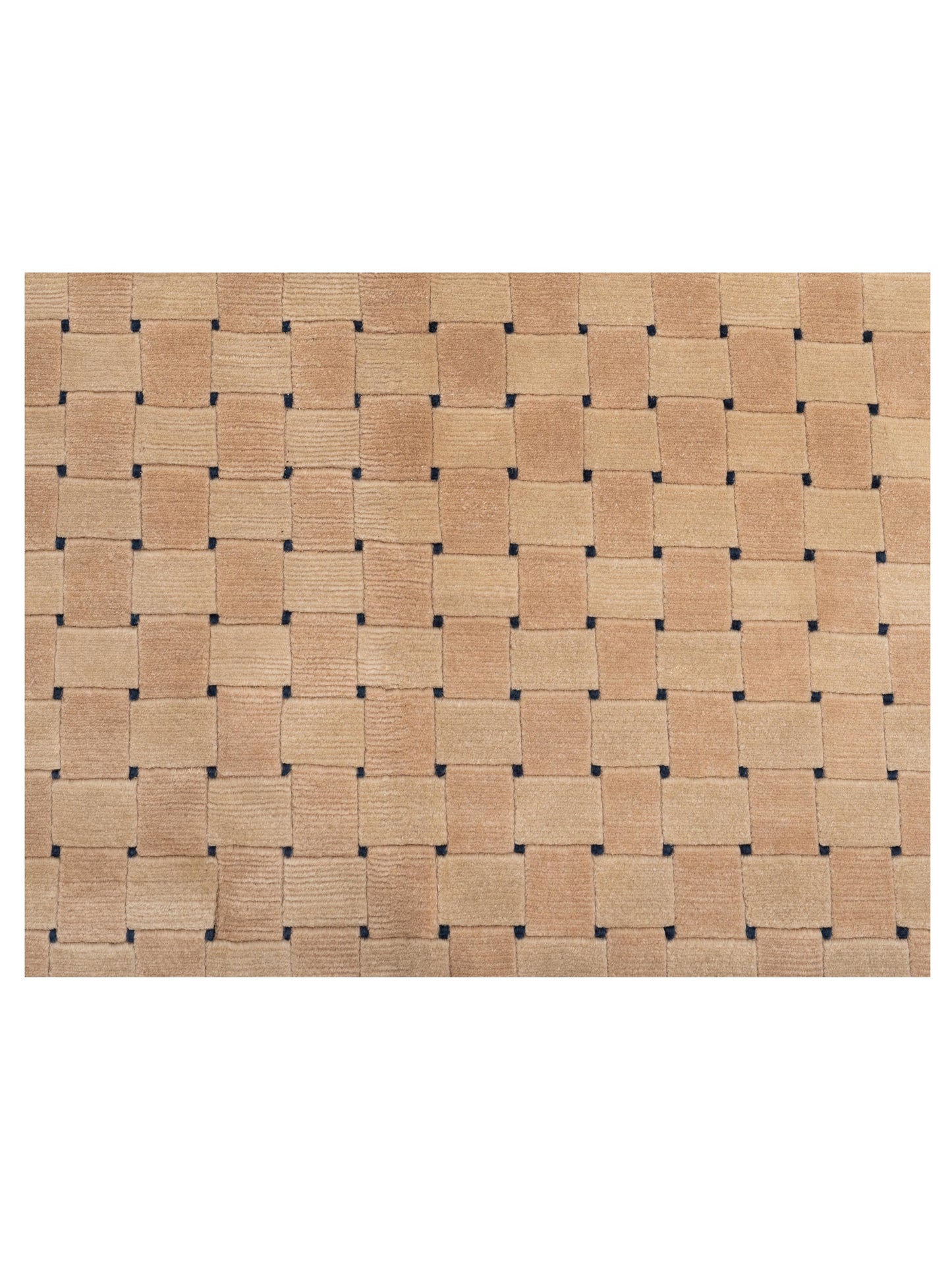 Tibarra Beige 6x9 Hand Knotted Rug