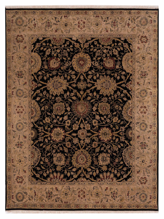 Rajpur Crown  Black Ivory Transitional