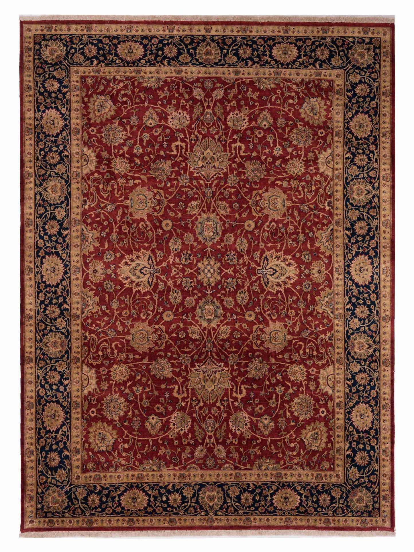 Rajpur Crown  Red Navy Transitional