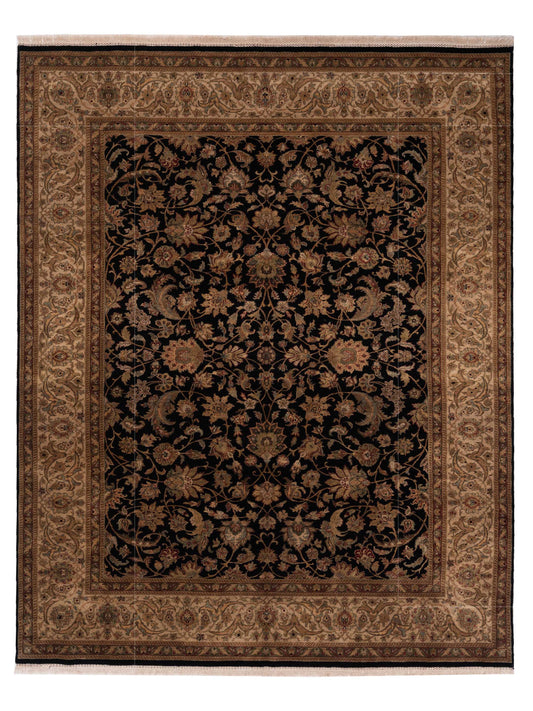 Rajpur Crown  Black Ivory Transitional
