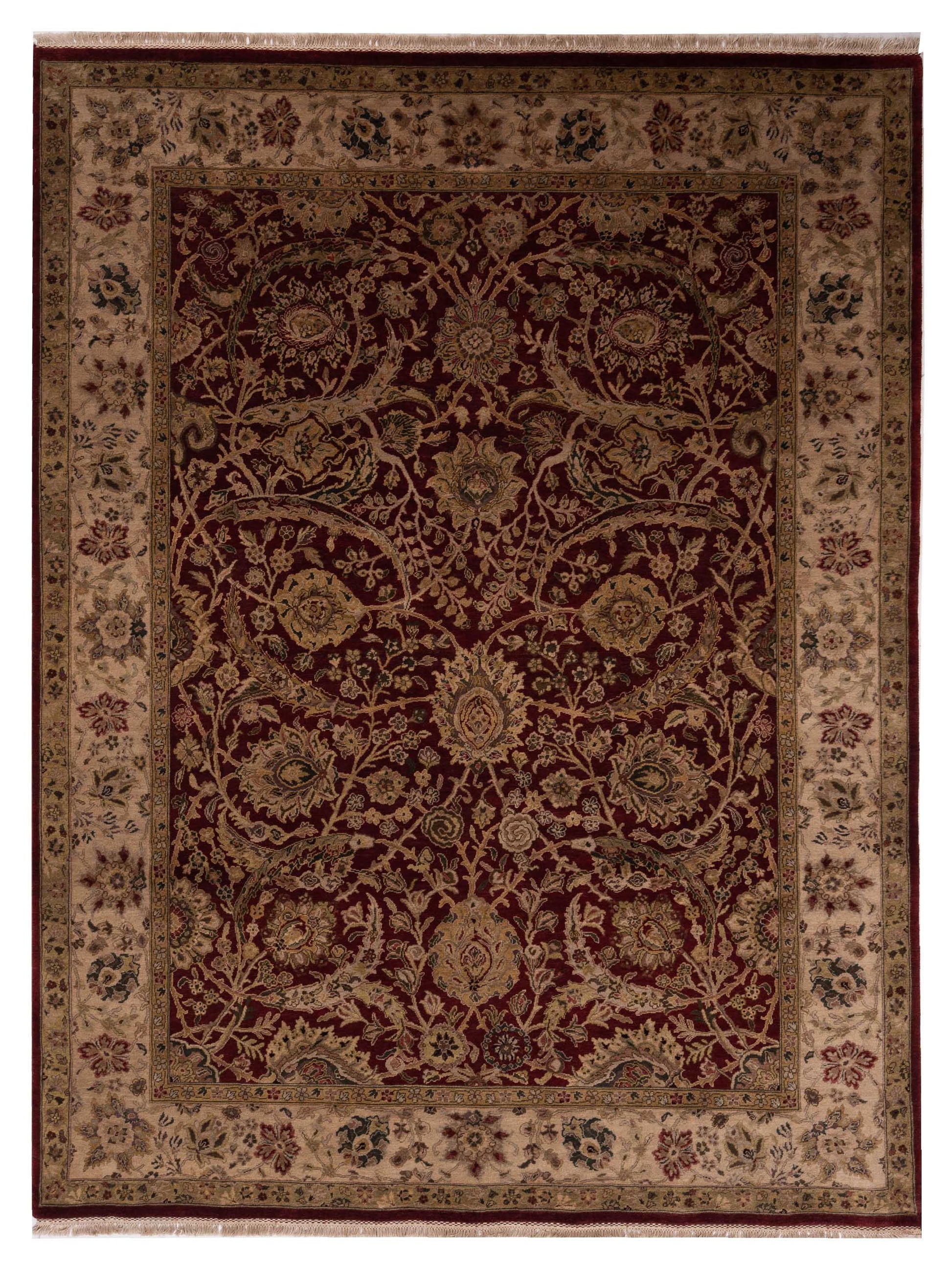 Rajpur Crown  Red Ivory Transitional