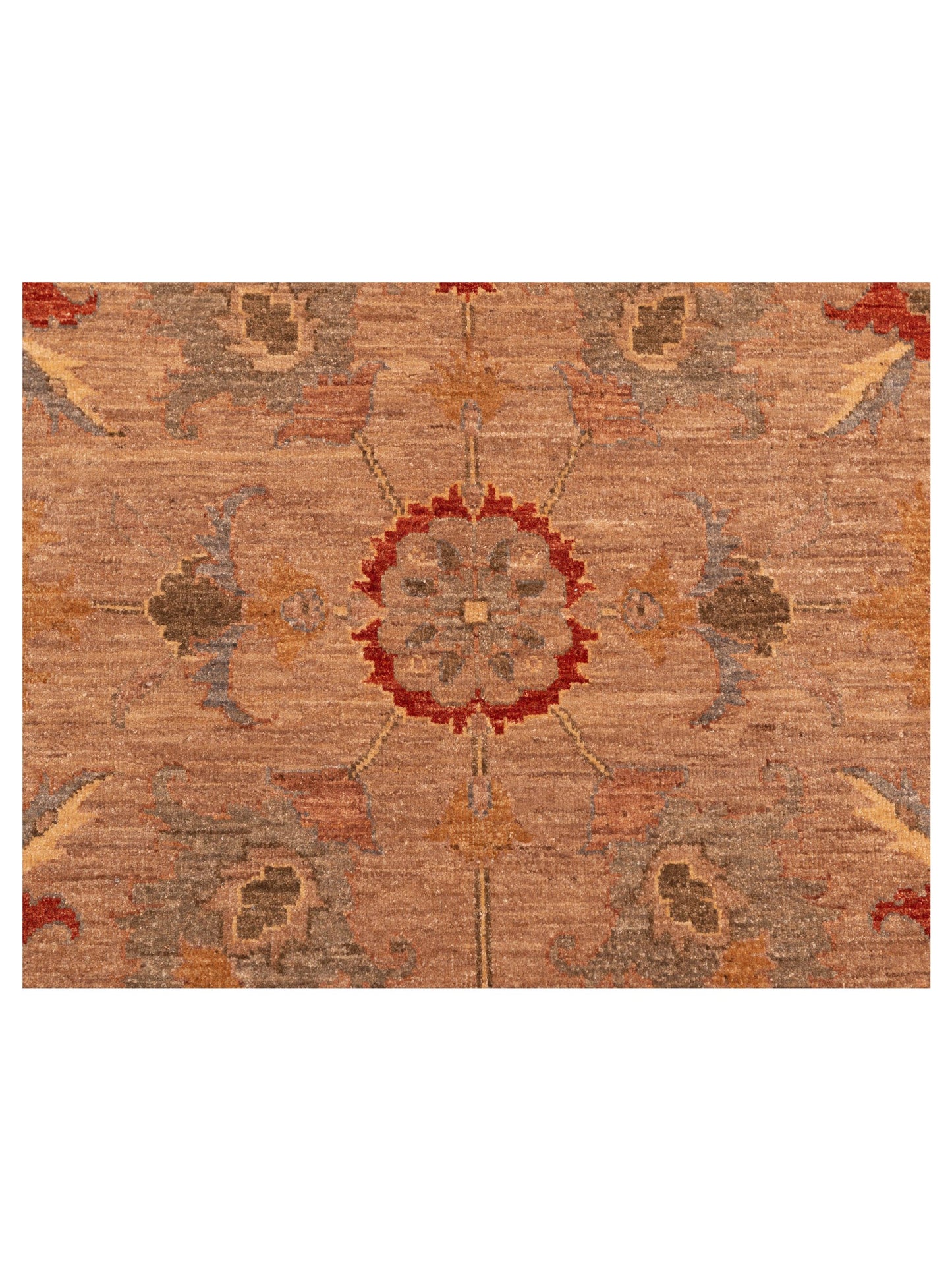 Sabira Brown Gold 9.3x12.1 Hand Knotted Rug