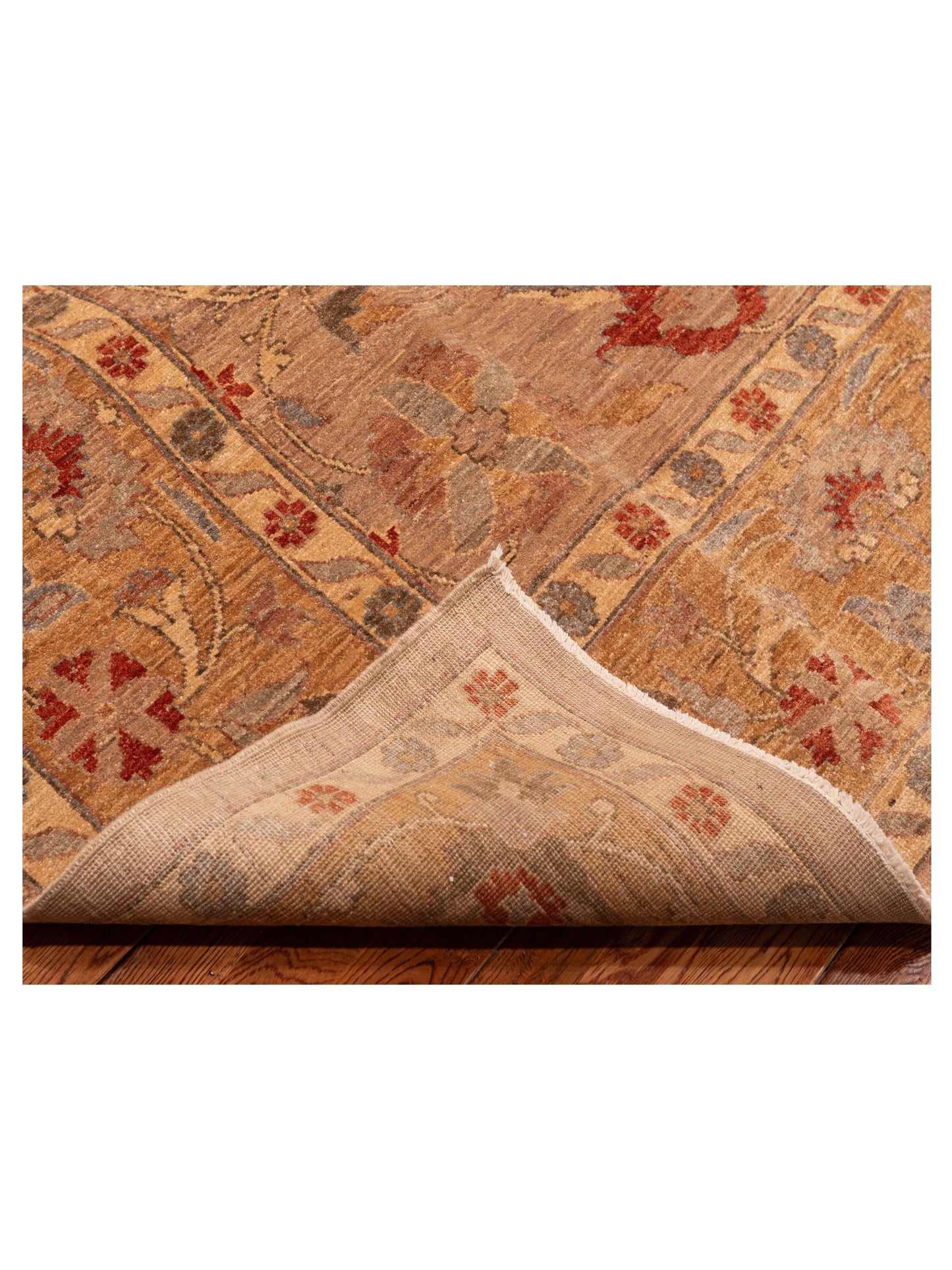 Sabira Brown Gold 9.3x12.1 Hand Knotted Rug
