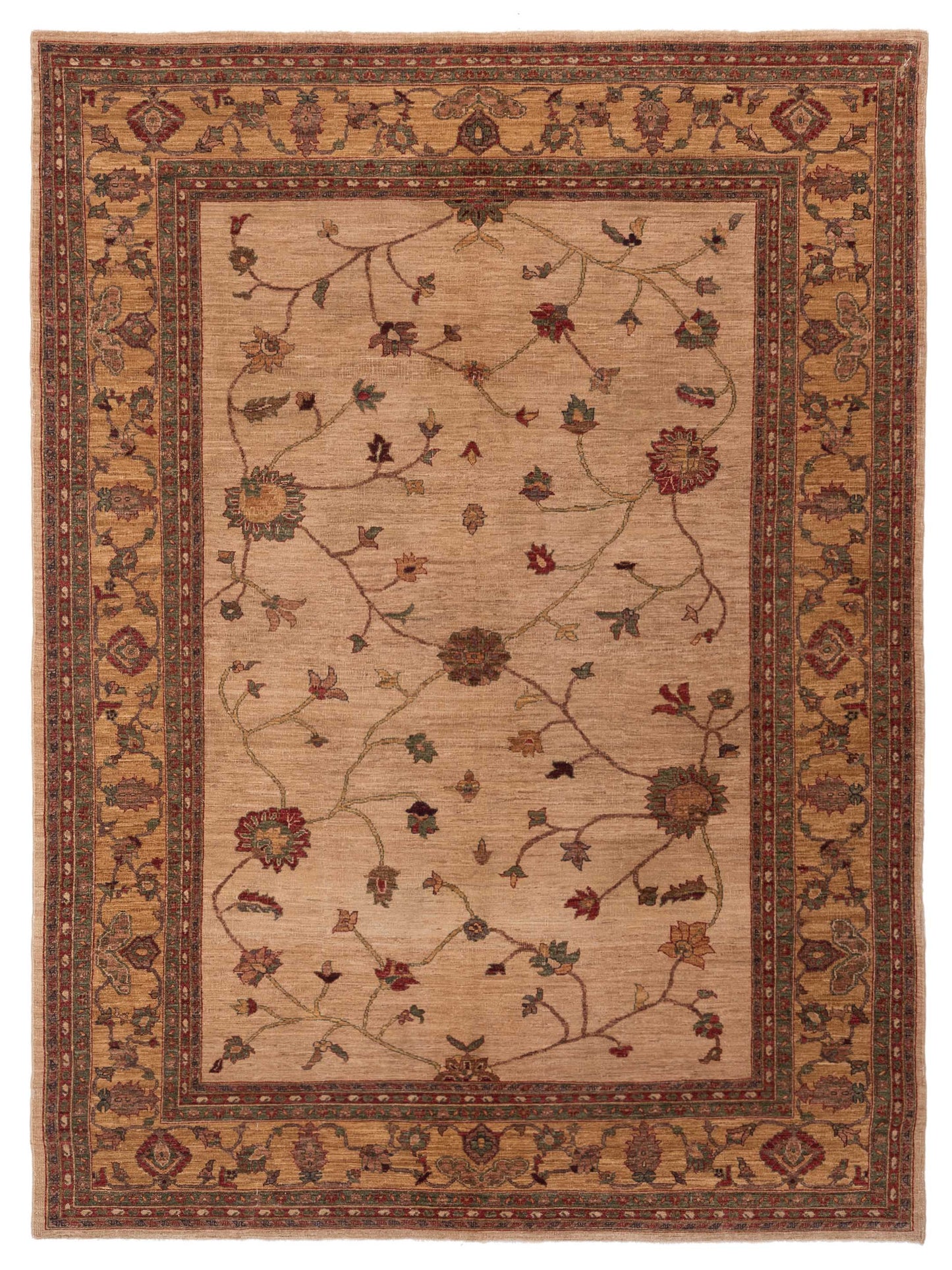 Pasha Elvan  Ivory Gold Traditional