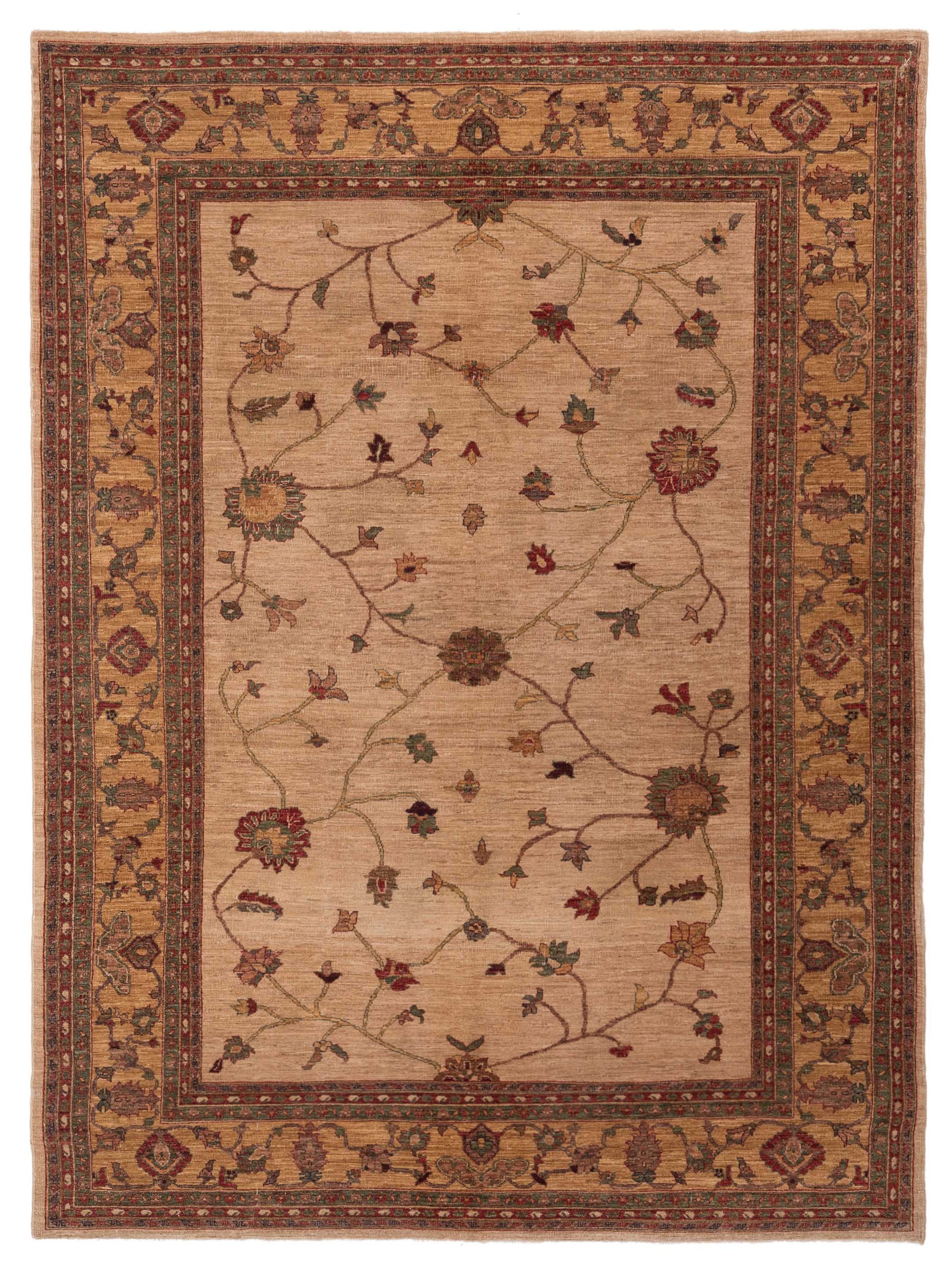 Pasha Elvan  Ivory Gold Traditional