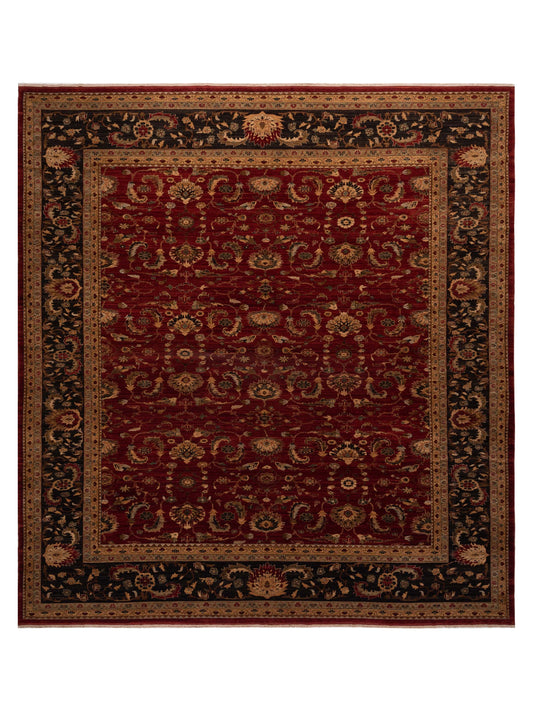 Pasha Narin  Red Black Traditional