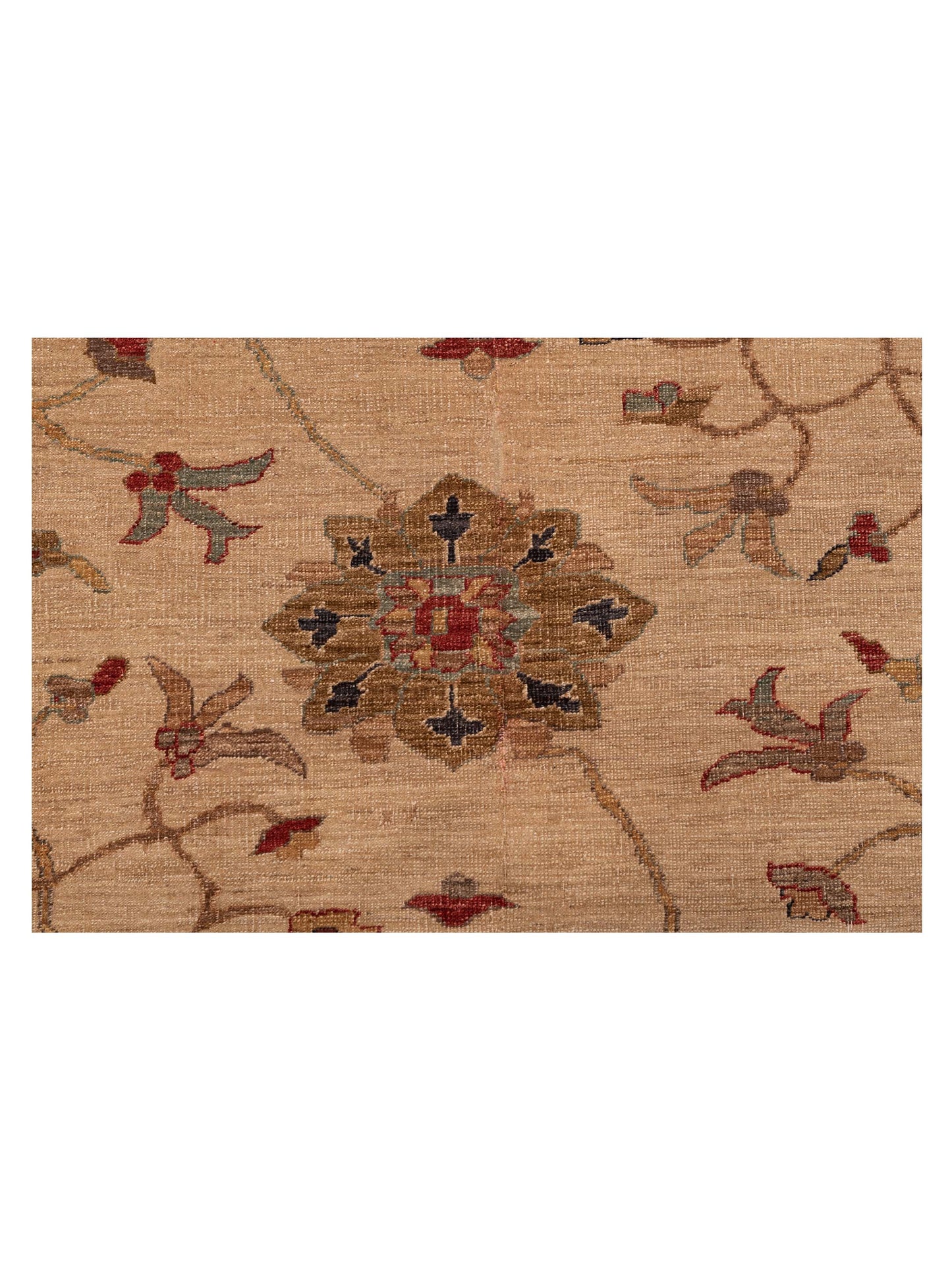 Elvaria Beige Gold 9.1x11.7 Hand Knotted Rug