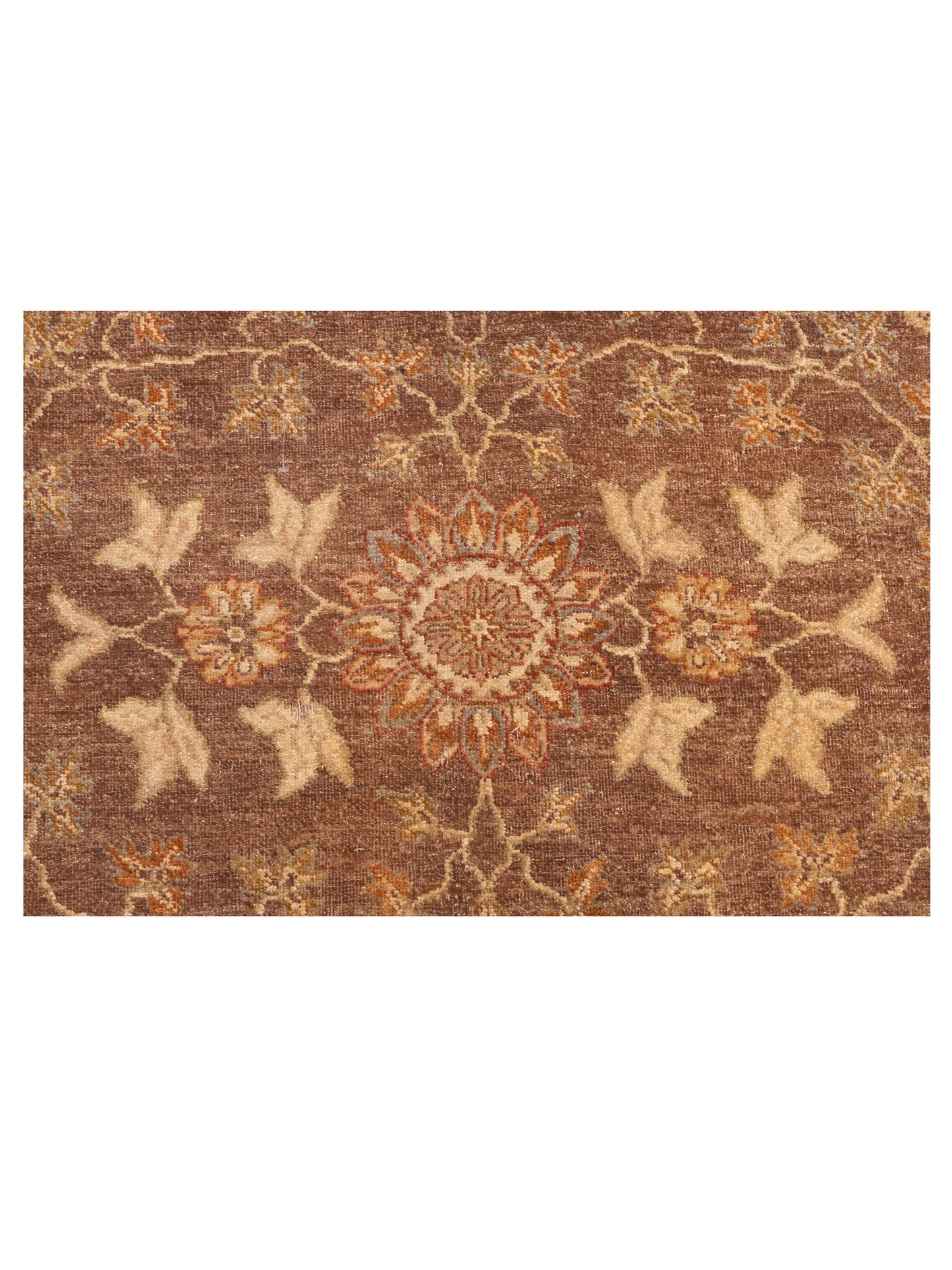 Zardun Brown Ivory 9x12.4 Hand Knotted Rug