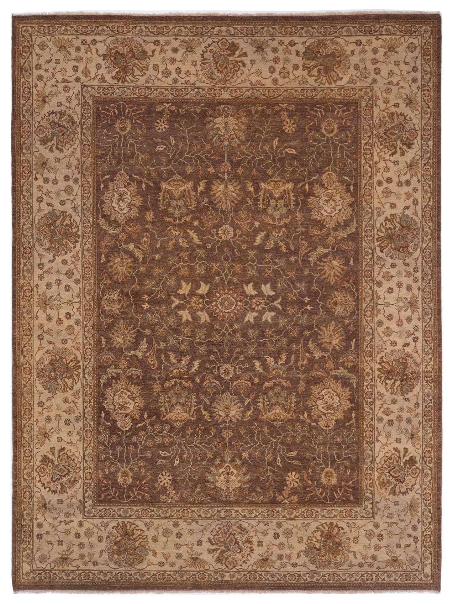 Rajpur Ghazani  Brown Ivory Traditional