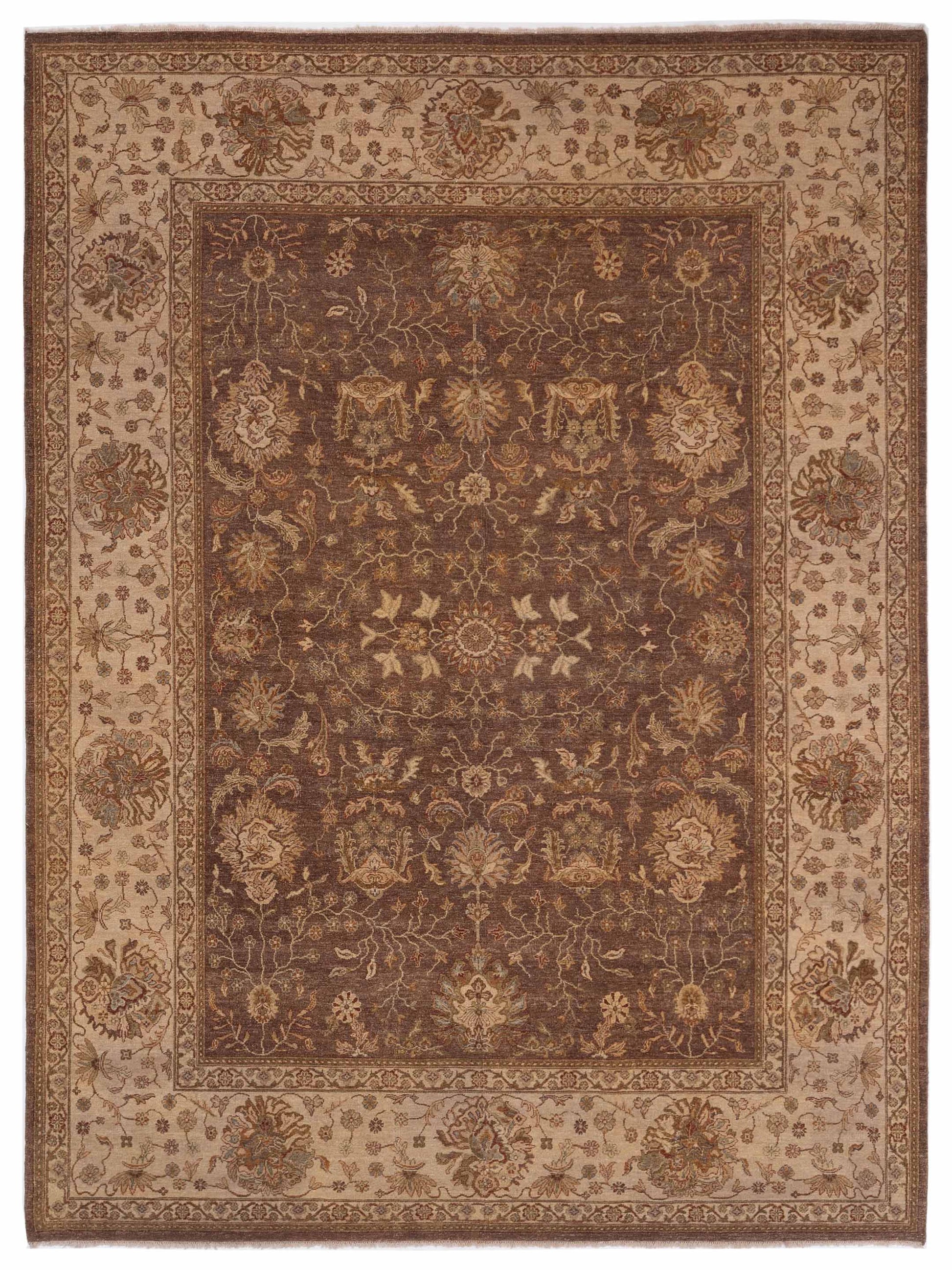 Rajpur Ghazani  Brown Ivory Traditional