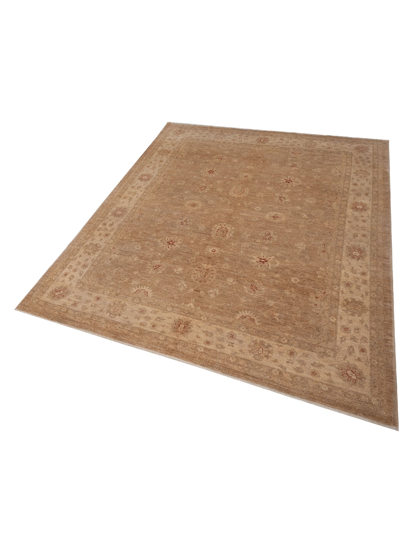 Sabira Brown Ivory 8.1x9.7 Hand Knotted Rug