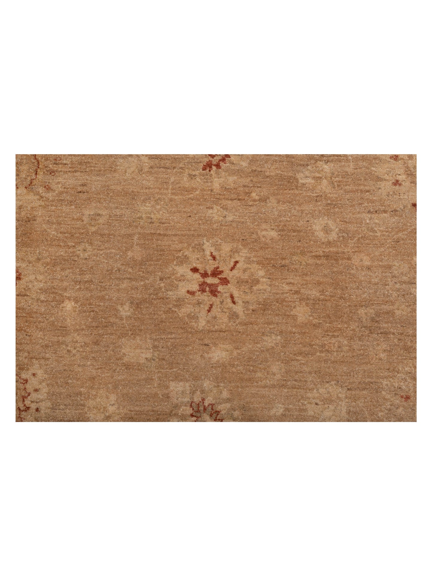 Sabira Brown Ivory 8.1x9.7 Hand Knotted Rug