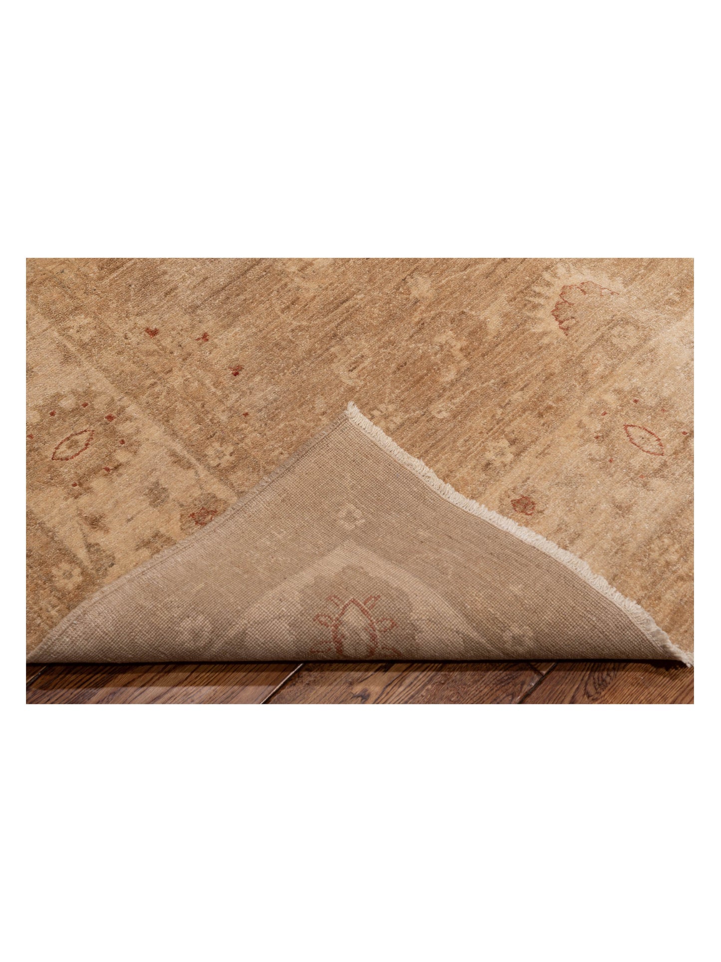 Sabira Brown Ivory 8.1x9.7 Hand Knotted Rug