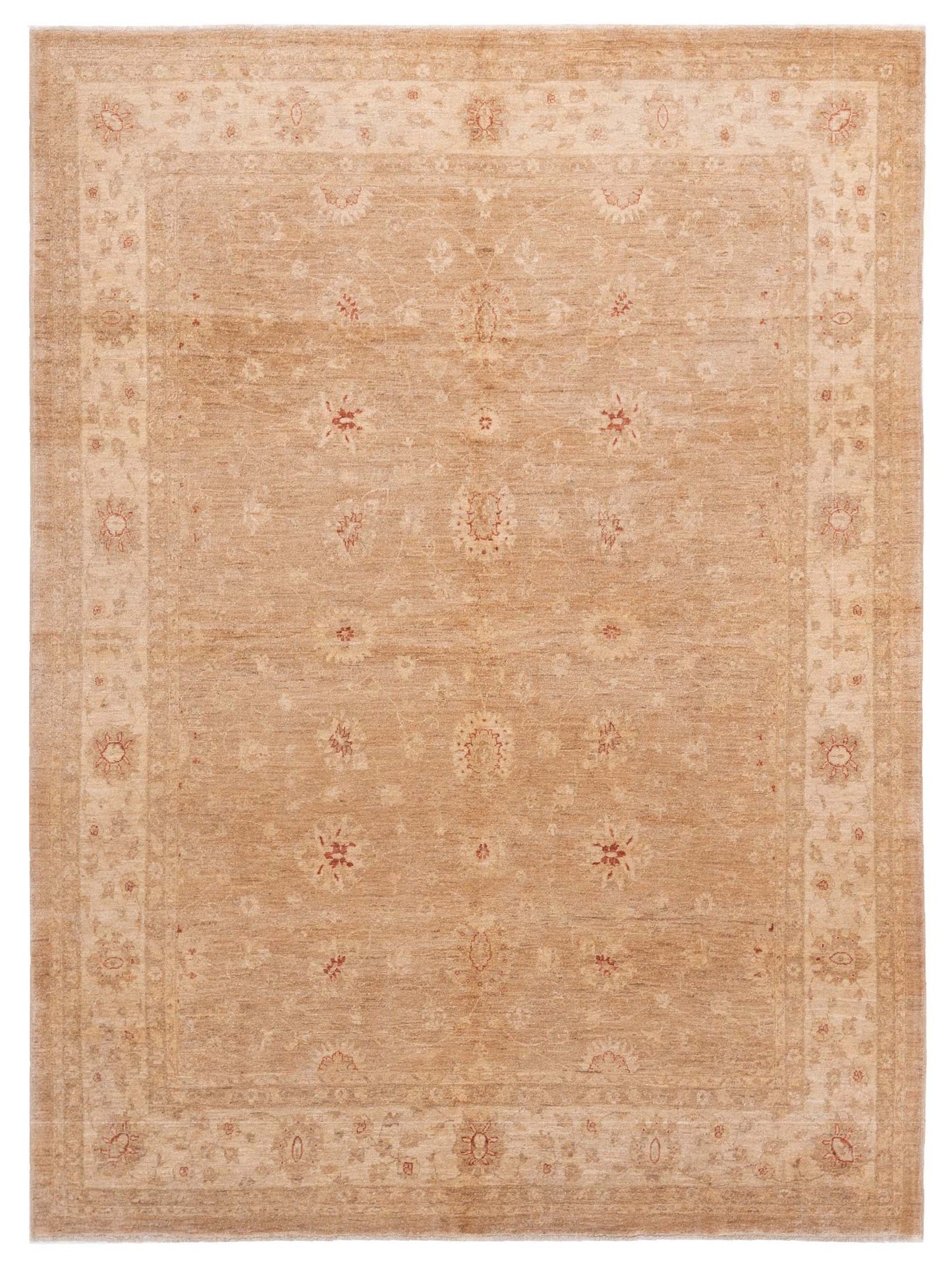 Pasha Sultan  Brown Ivory Traditional