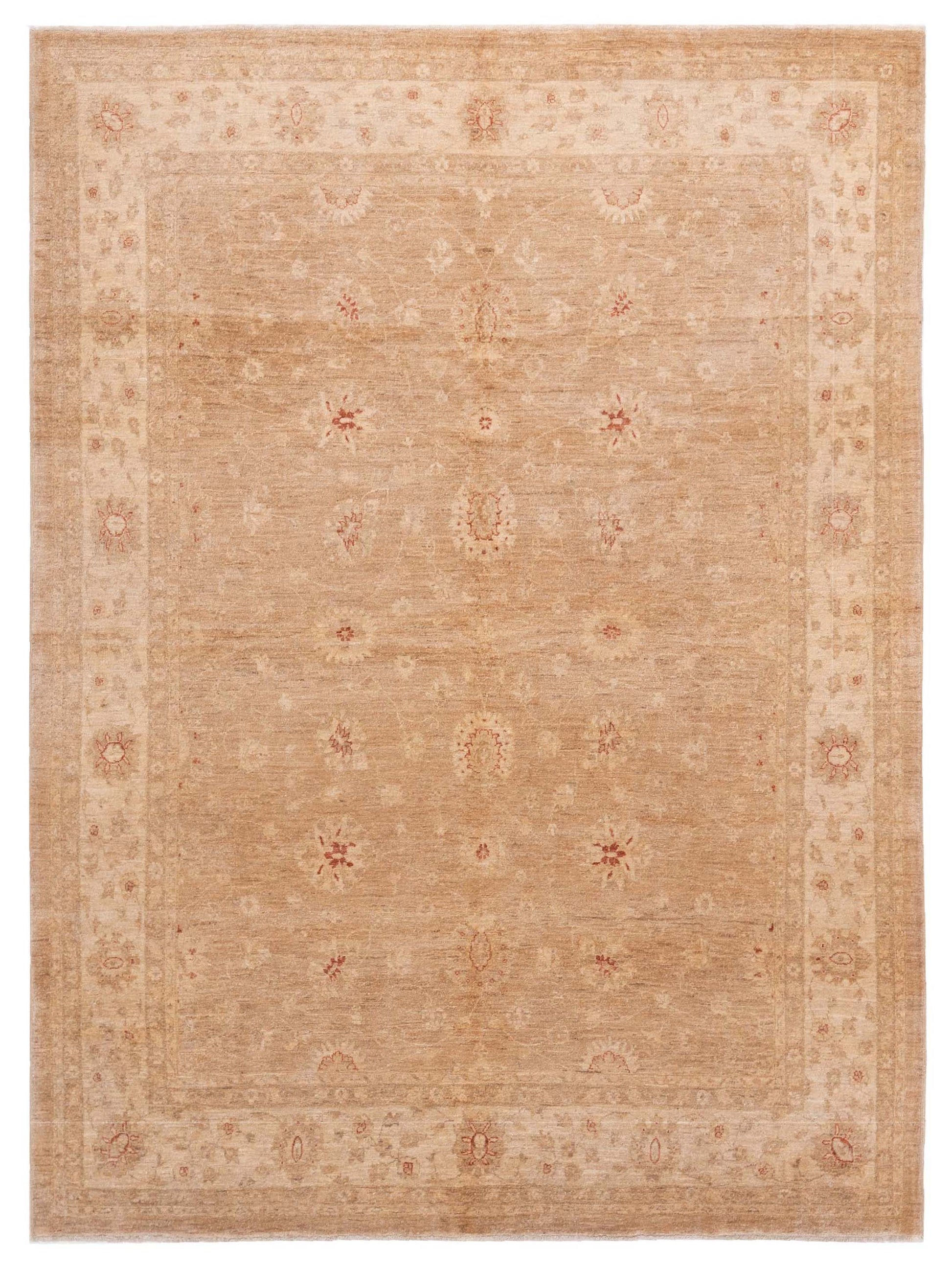 Pasha Sultan  Brown Ivory Traditional