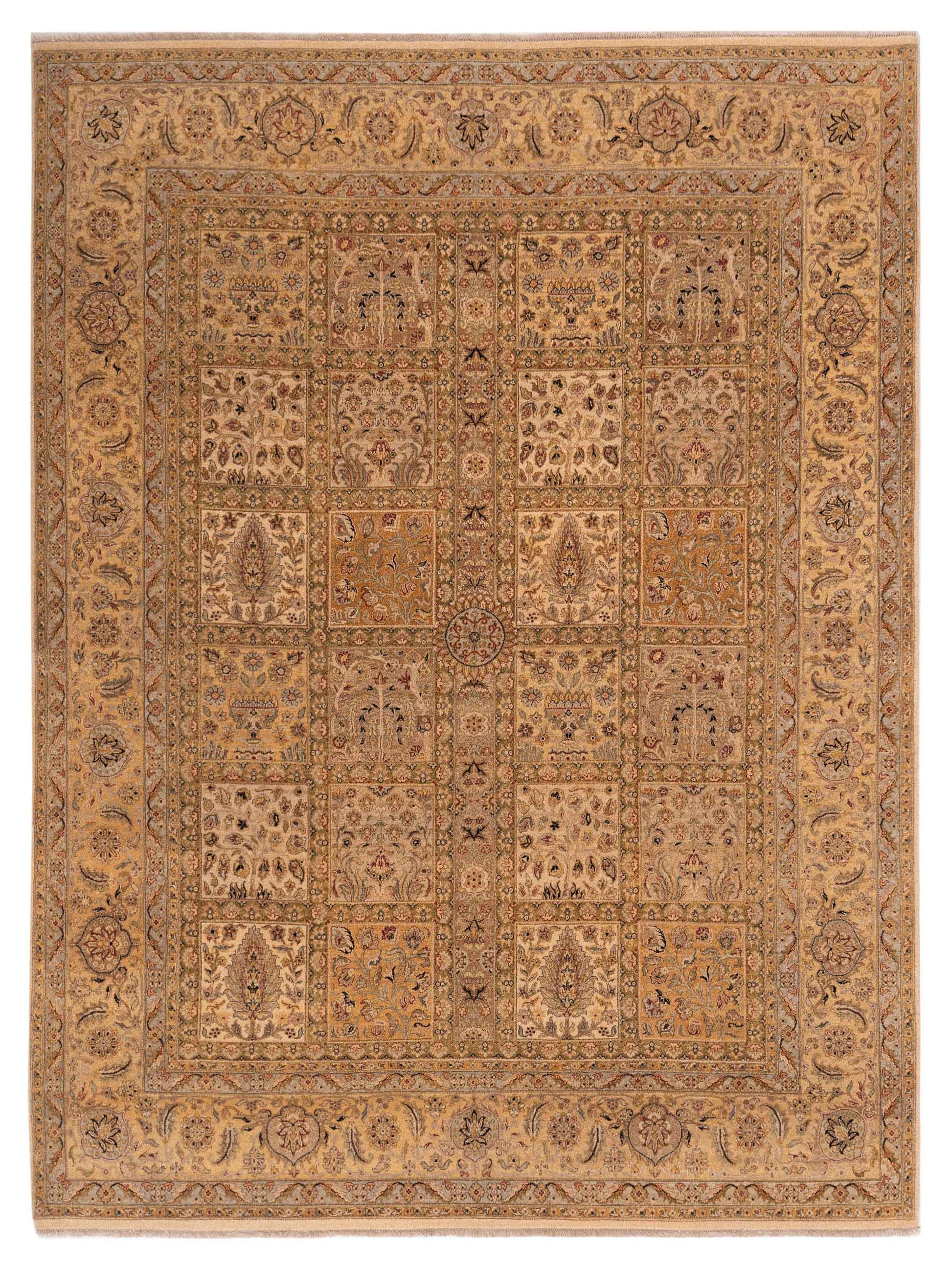 Rajpur Haji Jalili  Multi  Transitional