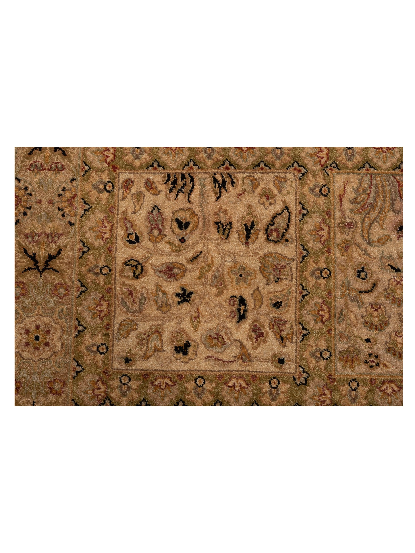 Jallira Ivory Gold 8.1x11.2 Hand Knotted Rug