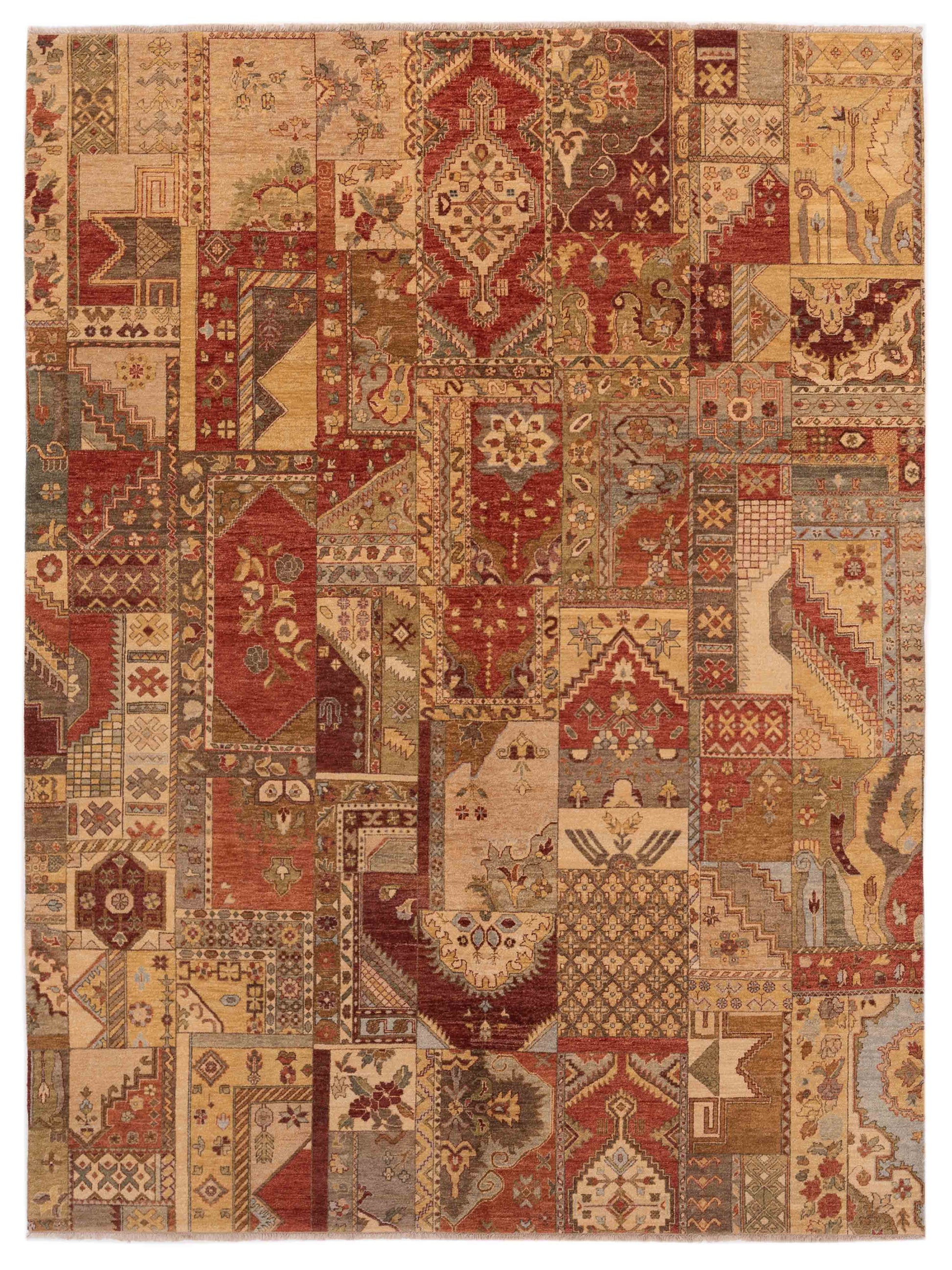 Rajpur Ghazani  Multi  Transitional