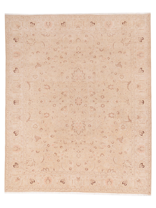 Petalyn Gold Ivory 8.1x9.11 Hand Knotted Rug