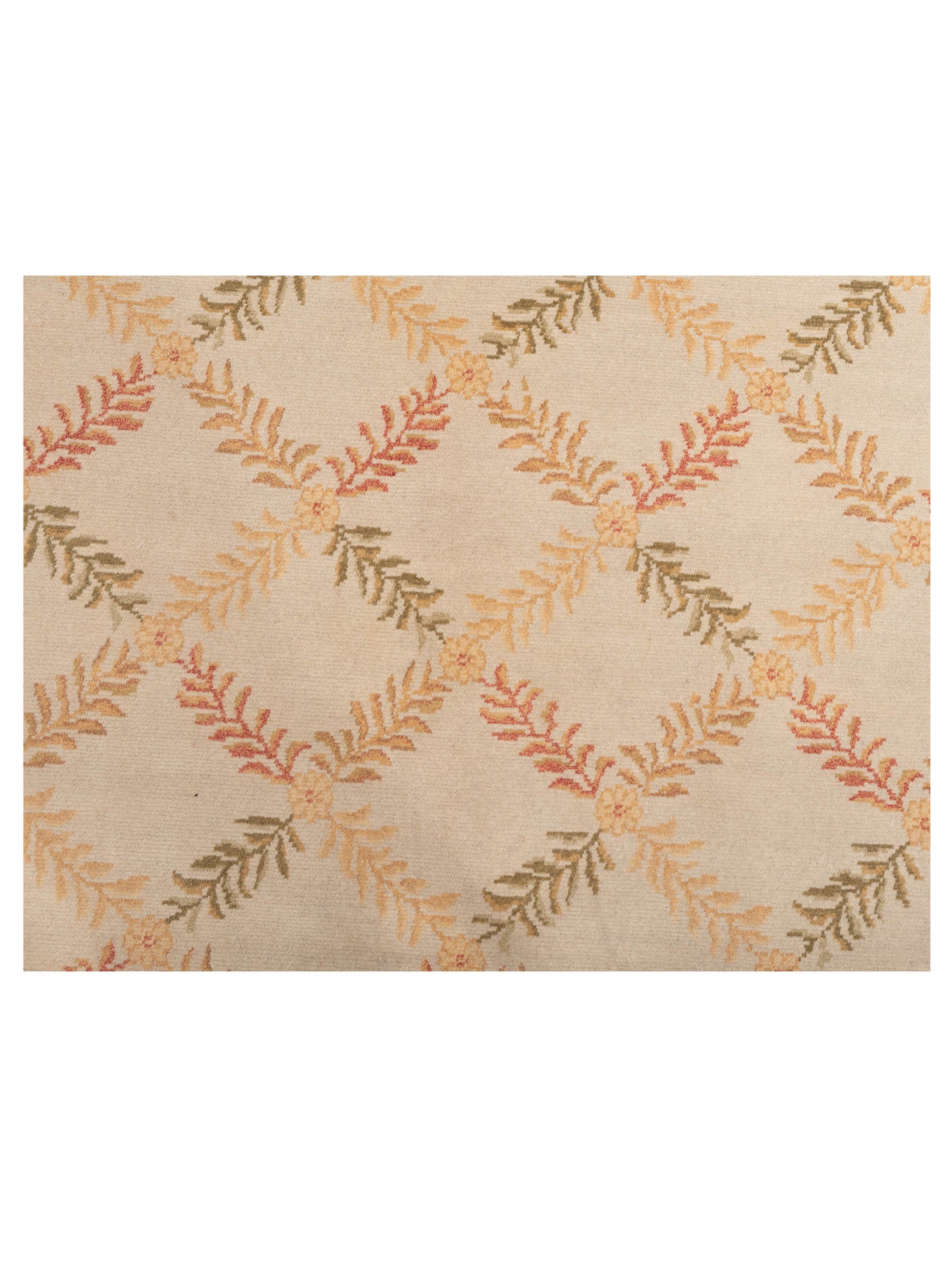 Petalyn Ivory 6.1x8.9 Hand Knotted Rug