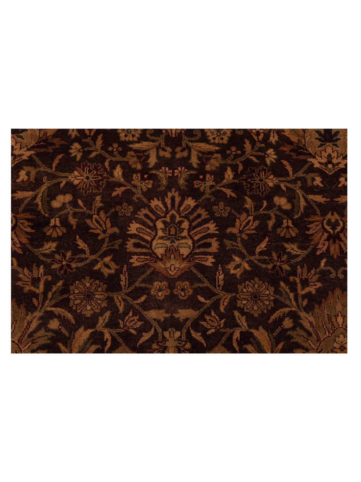 Sansira Brown Cream 9.2x12 Hand Knotted Rug