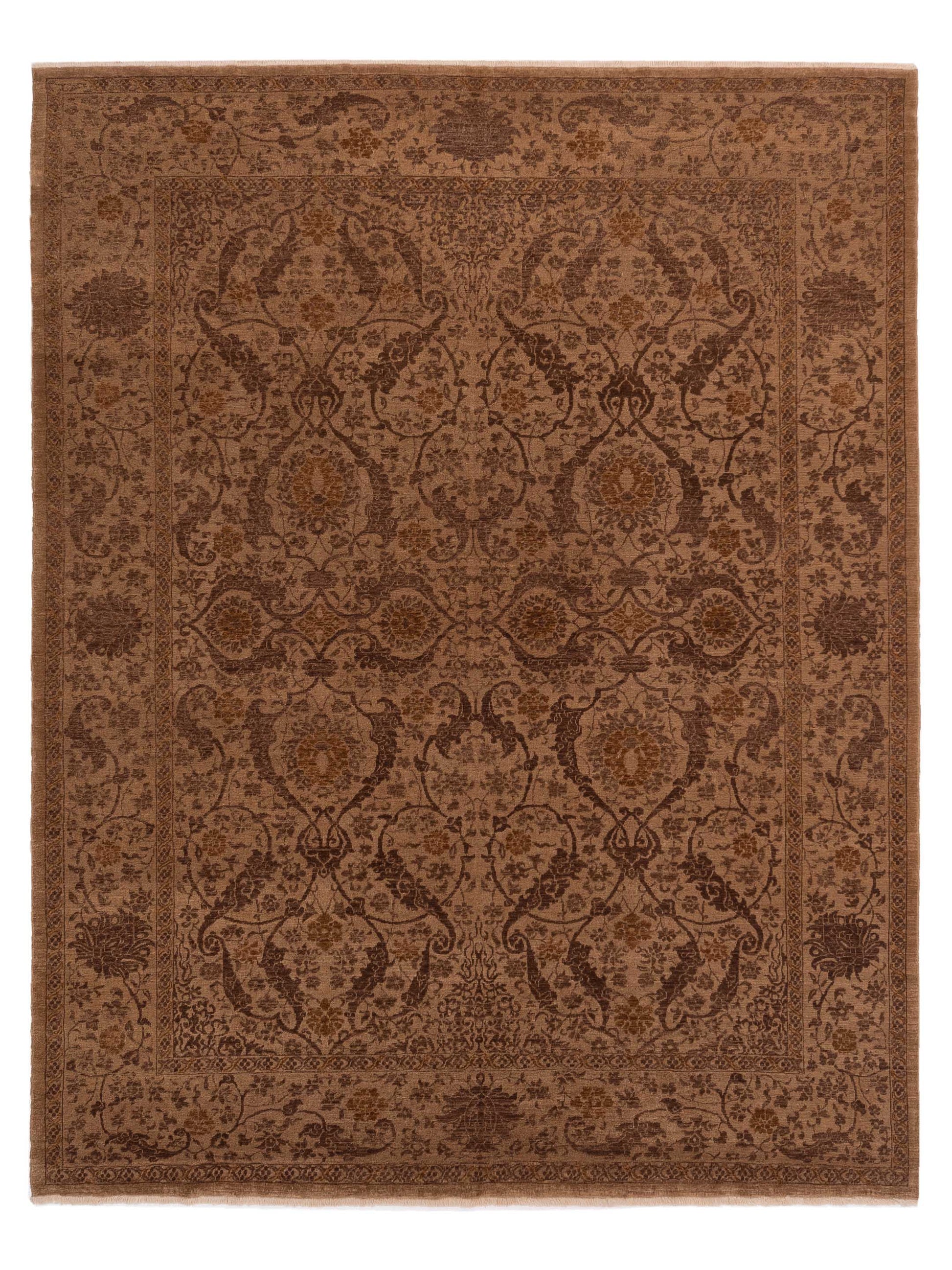 Pasha Defne  Brown Brown Transitional