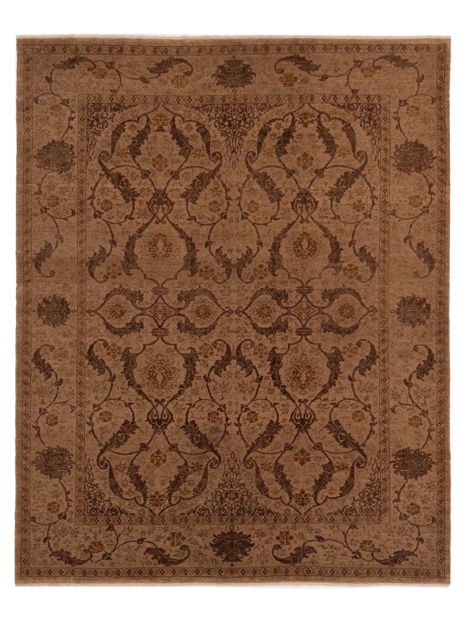 Pasha Defne  Brown Brown Transitional