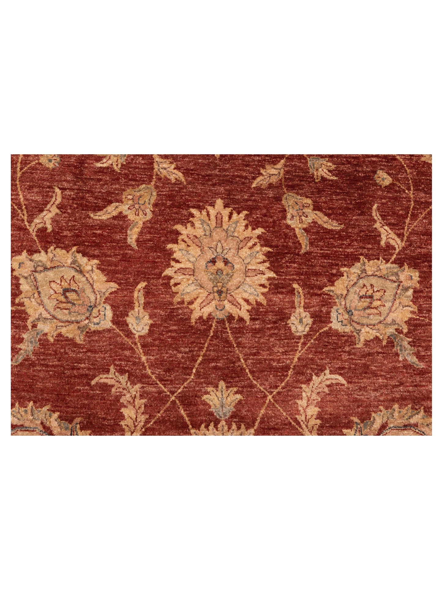 Zardun Rust Camel 9.1x12.1 Hand Knotted Rug