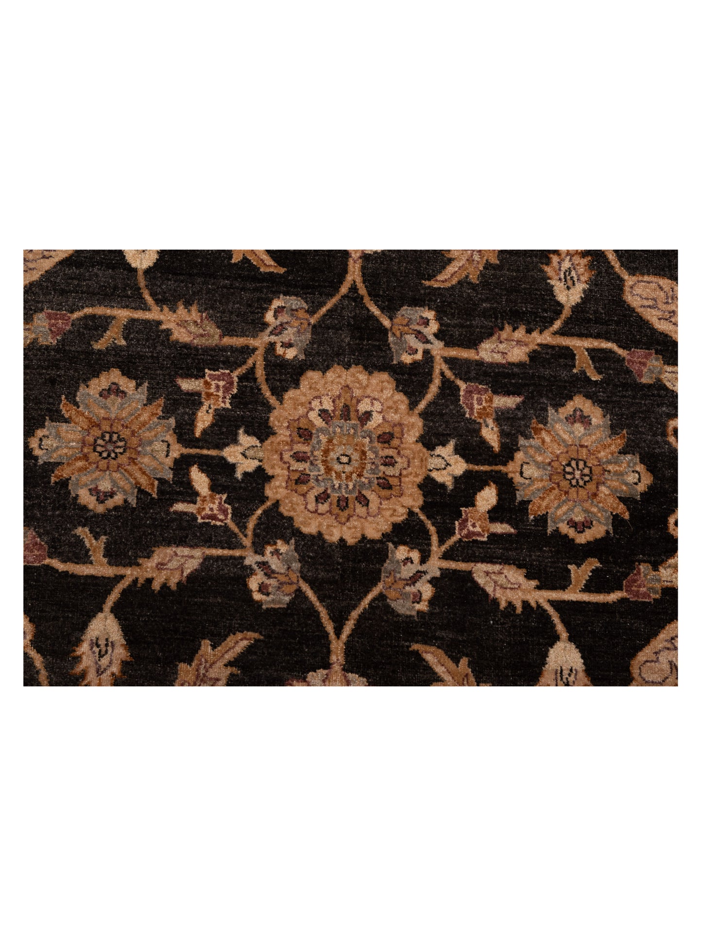 Zardun Black Ivory 8x9.10 Hand Knotted Rug