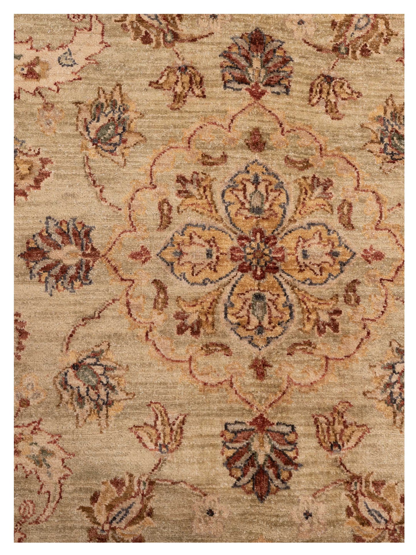 Zardun Green Ivory 7.9x9.10 Hand Knotted Rug