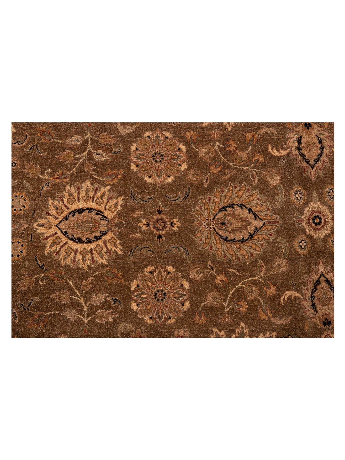 Jallira Brown Ivory 9x12.11 Hand Knotted Rug
