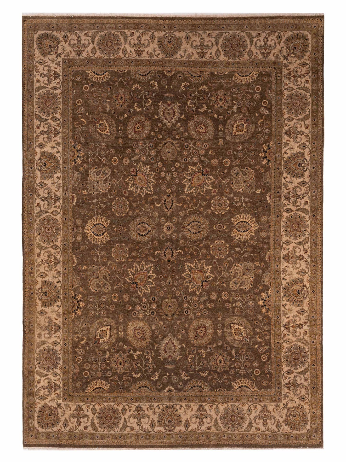 Rajpur Haji Jalili  Brown Ivory Transitional