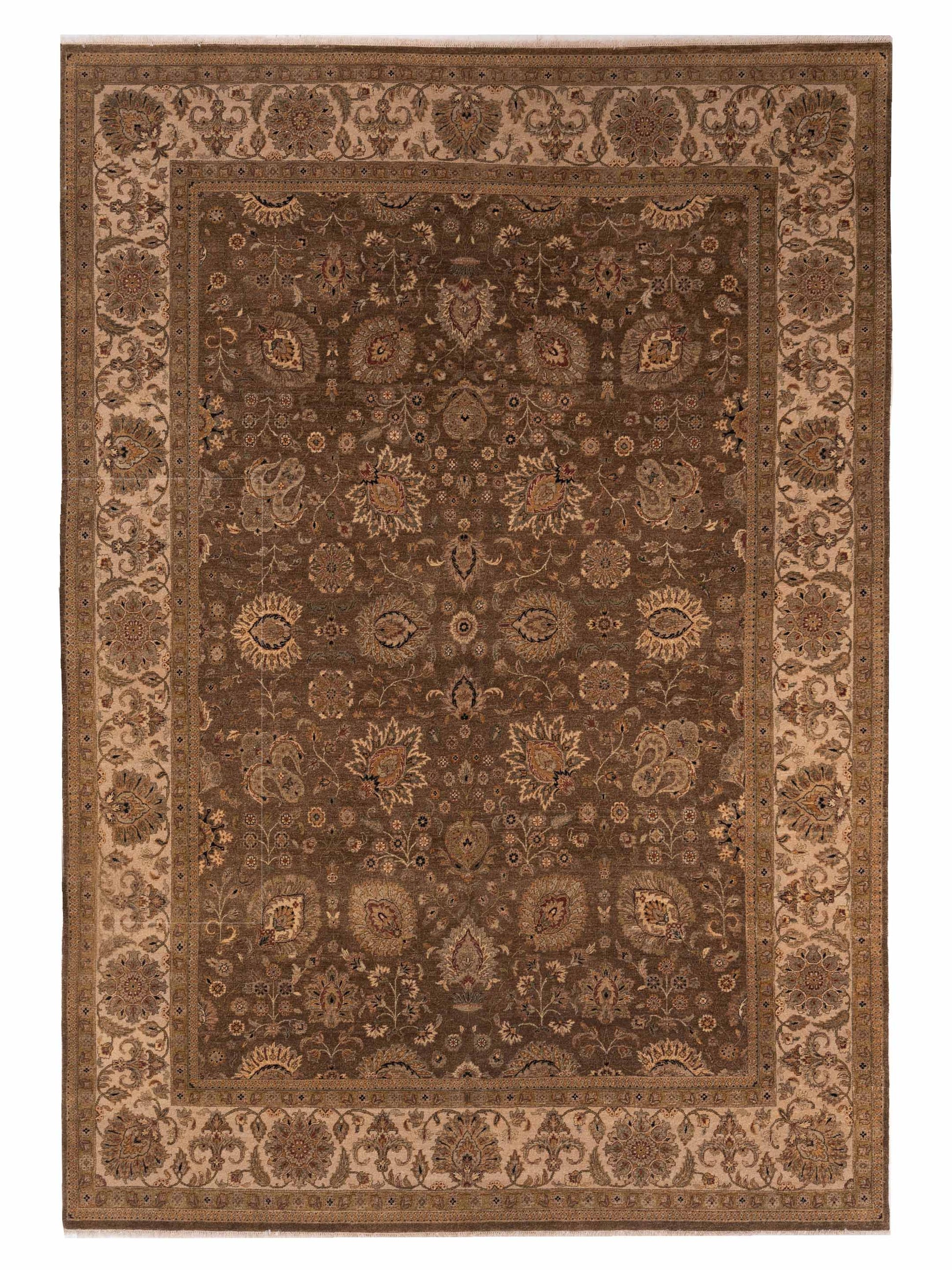 Rajpur Haji Jalili  Brown Ivory Transitional